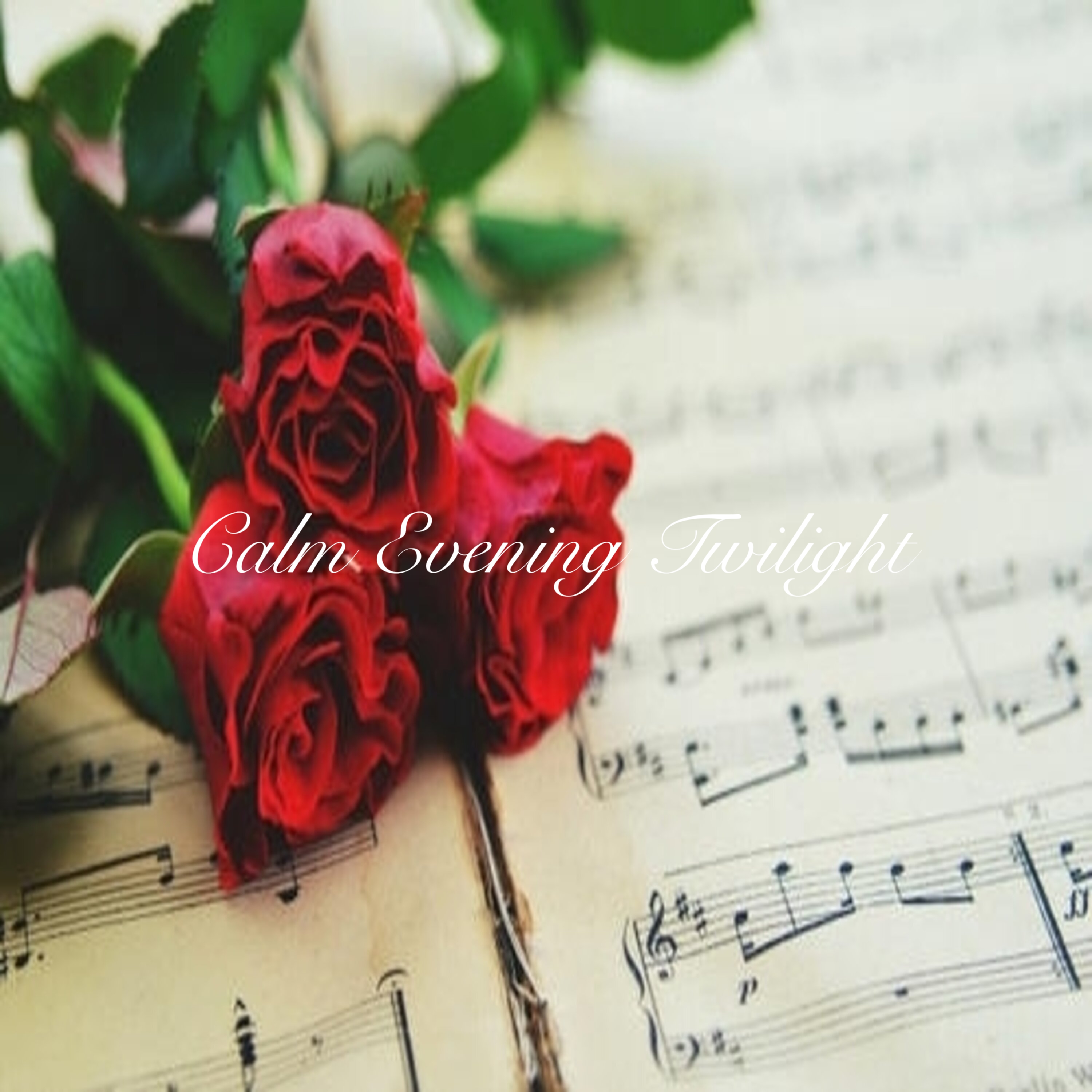 Calm Evening Twilight artwork