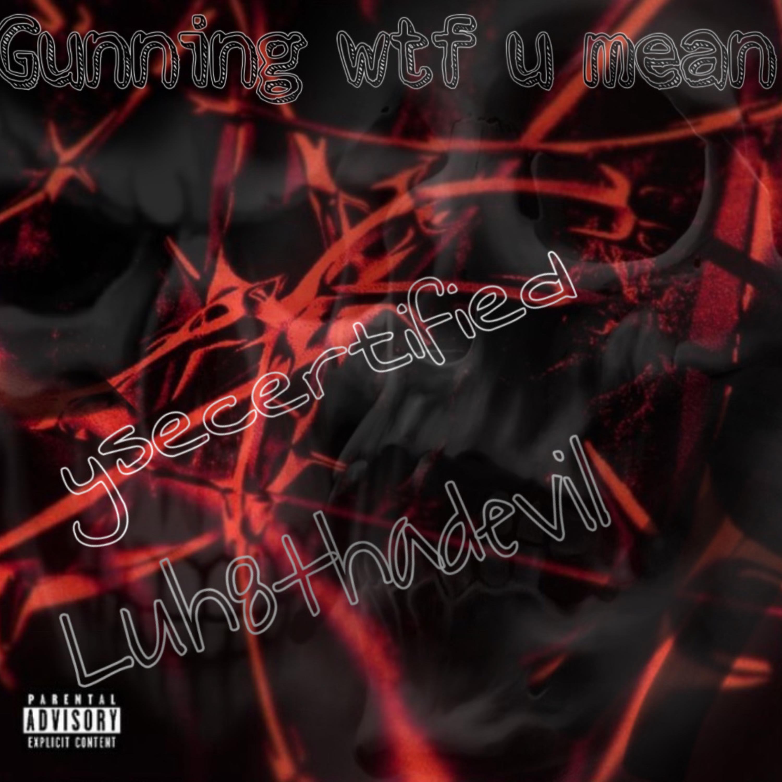 Gunning Wtf U Mean artwork