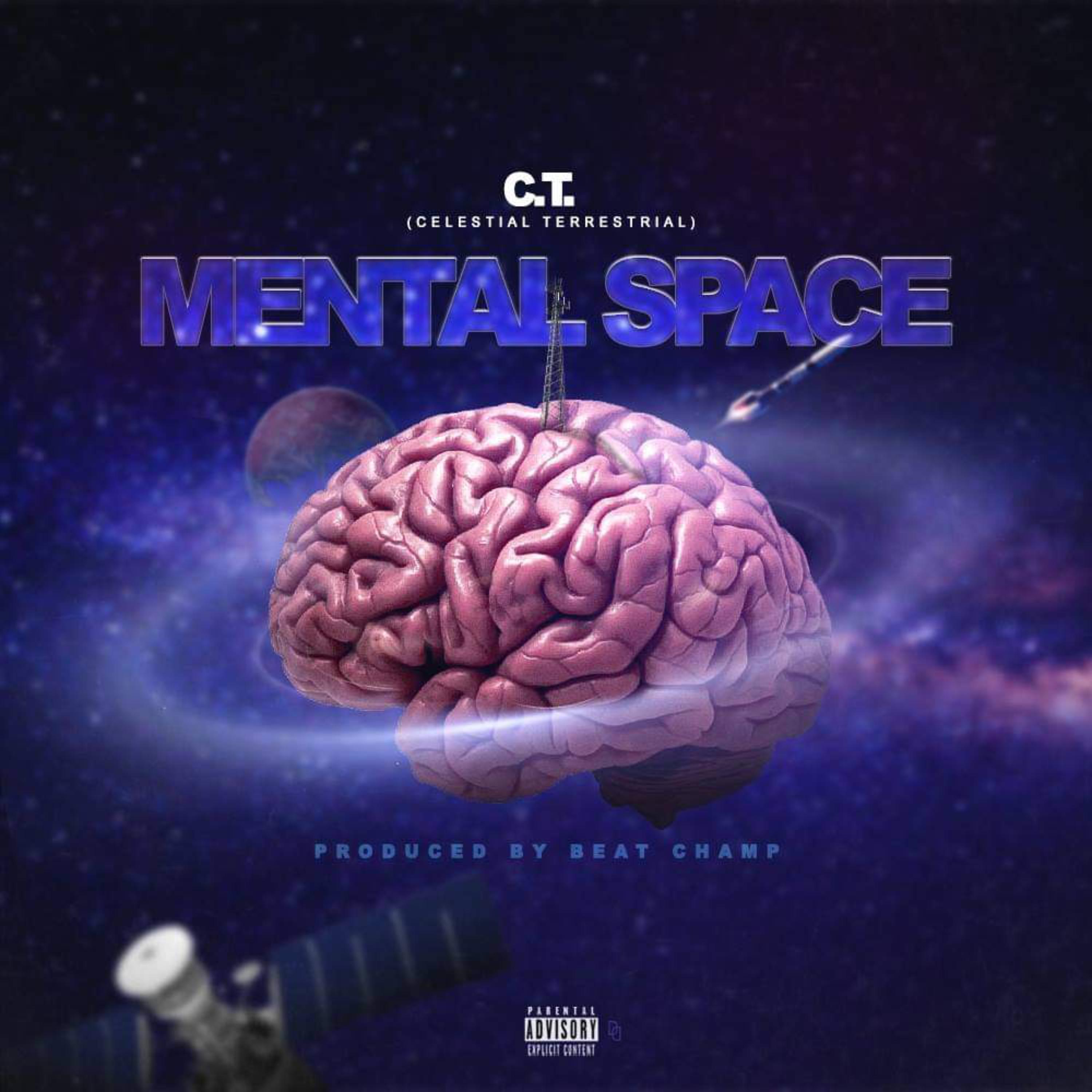 Mental Space artwork