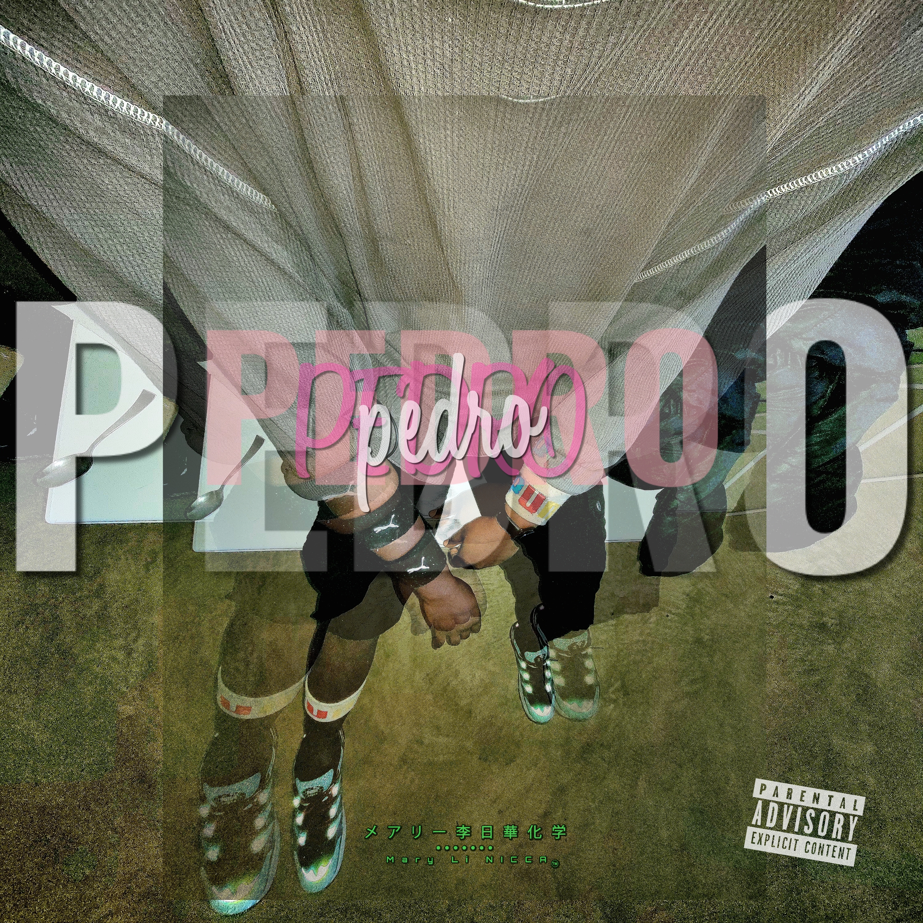 Pedro artwork