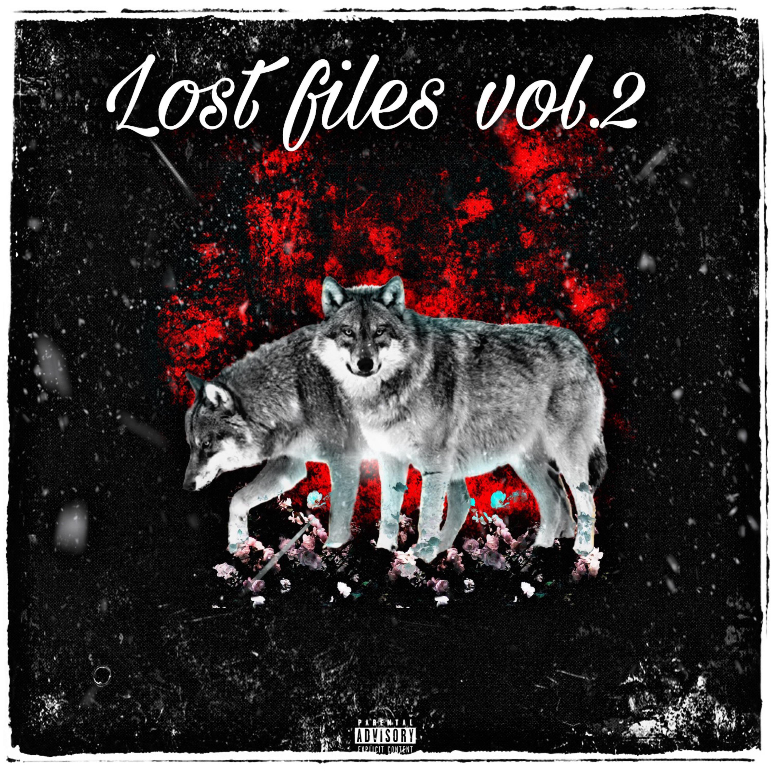 Lost Files, Vol. 2 artwork