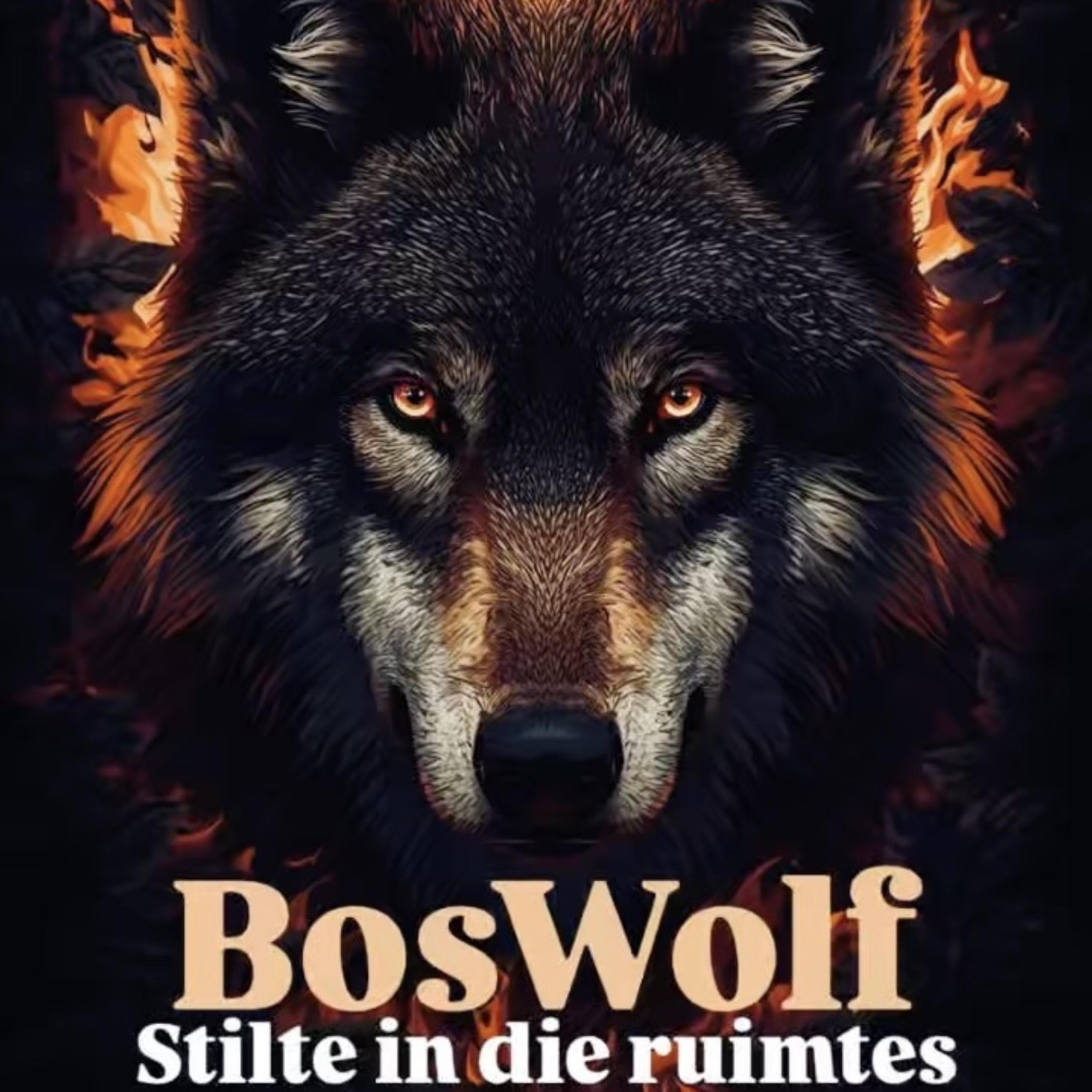 Stilte in die ruimtes by BosWolf cover art