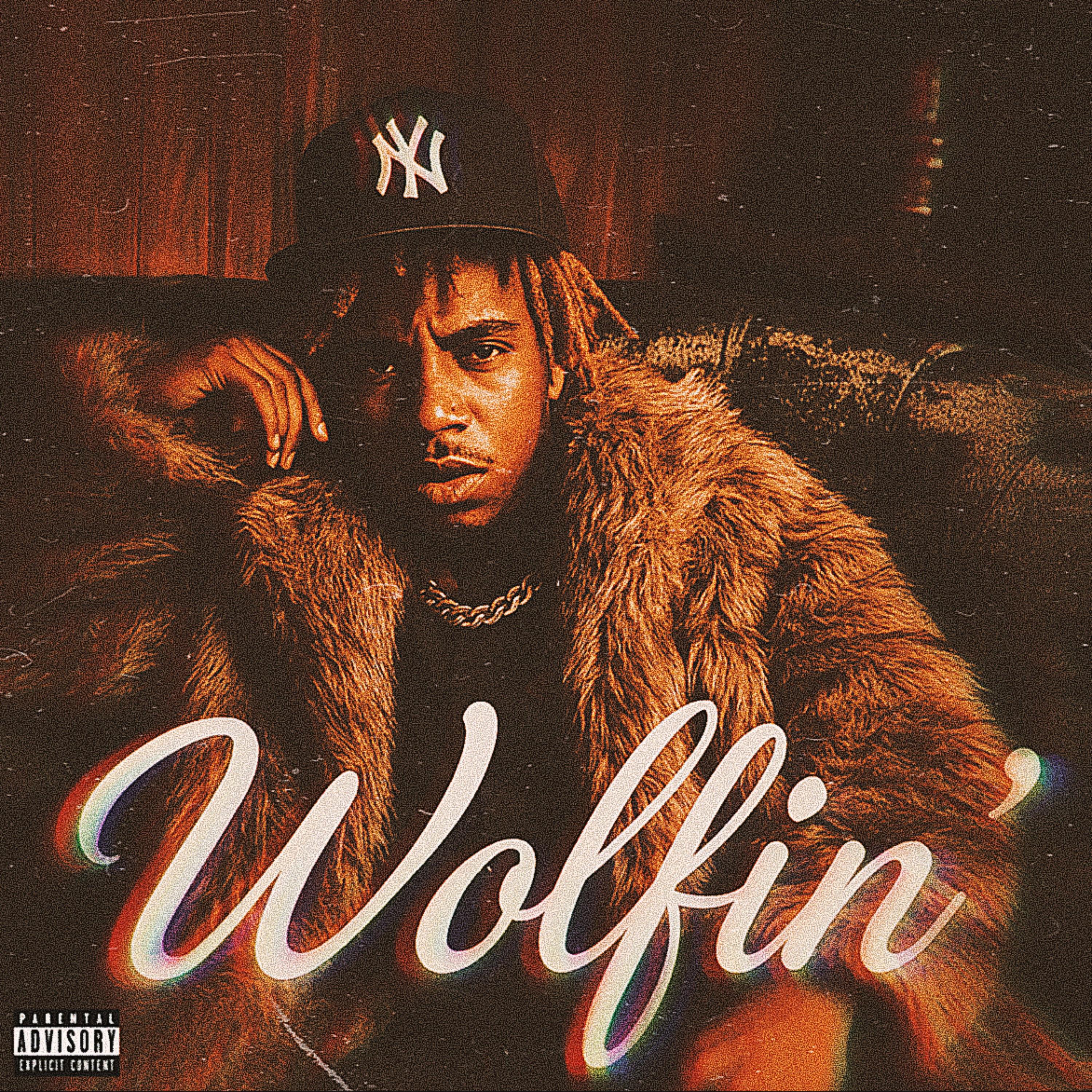 Wolfin artwork