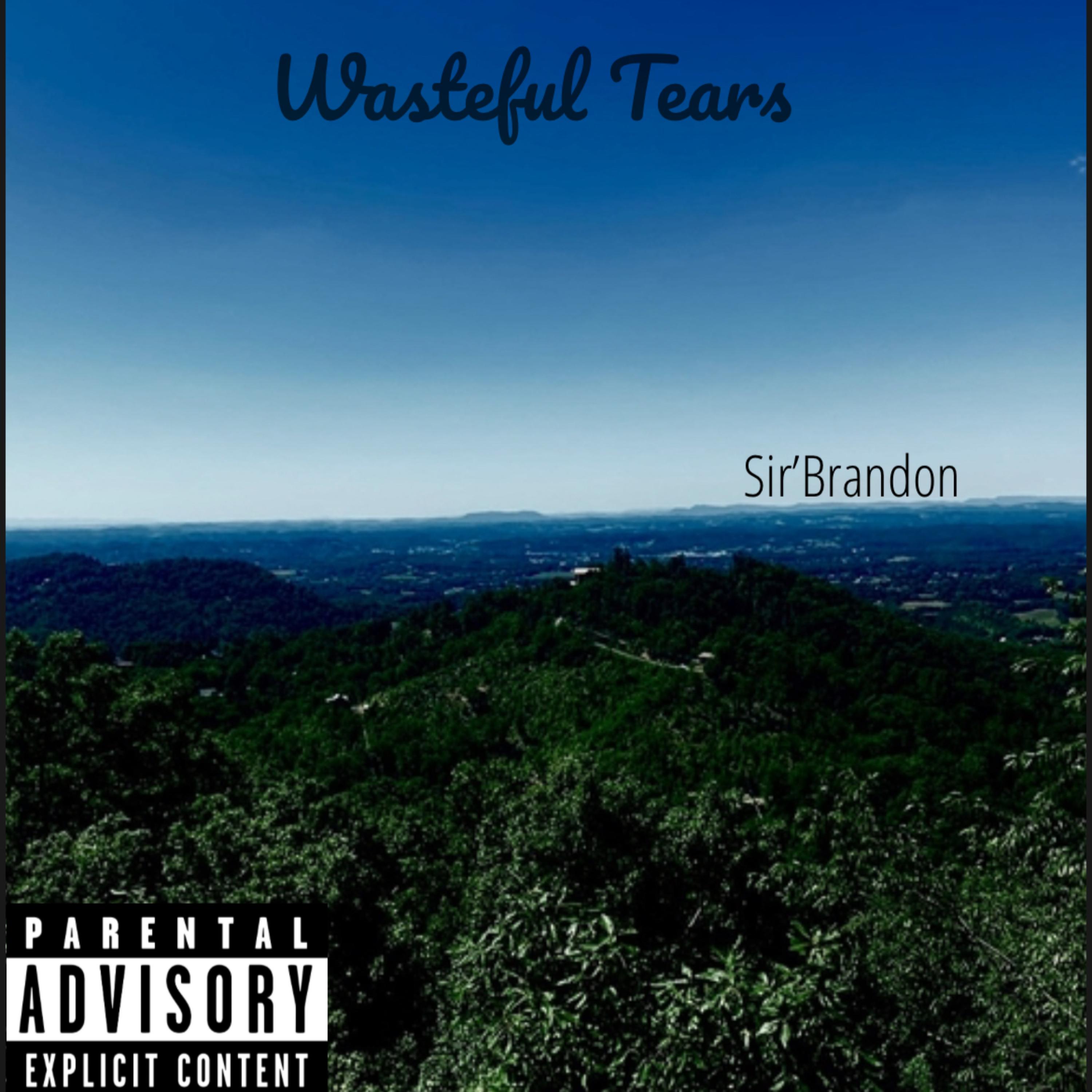 Wasteful Tears artwork