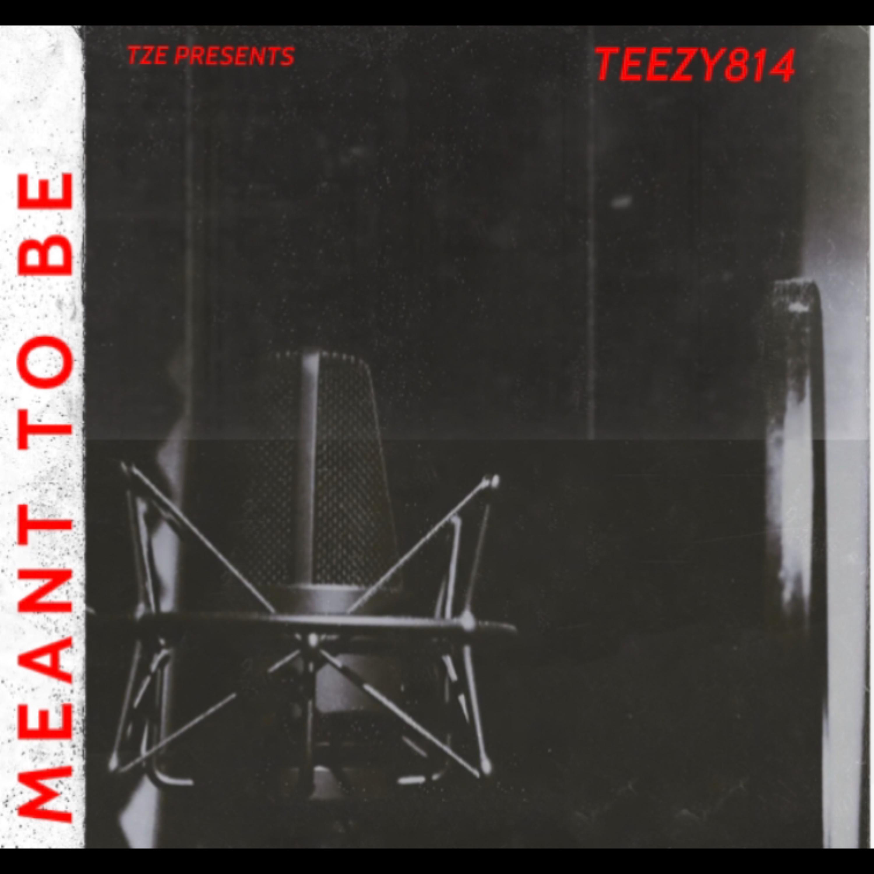 Meant To Be artwork
