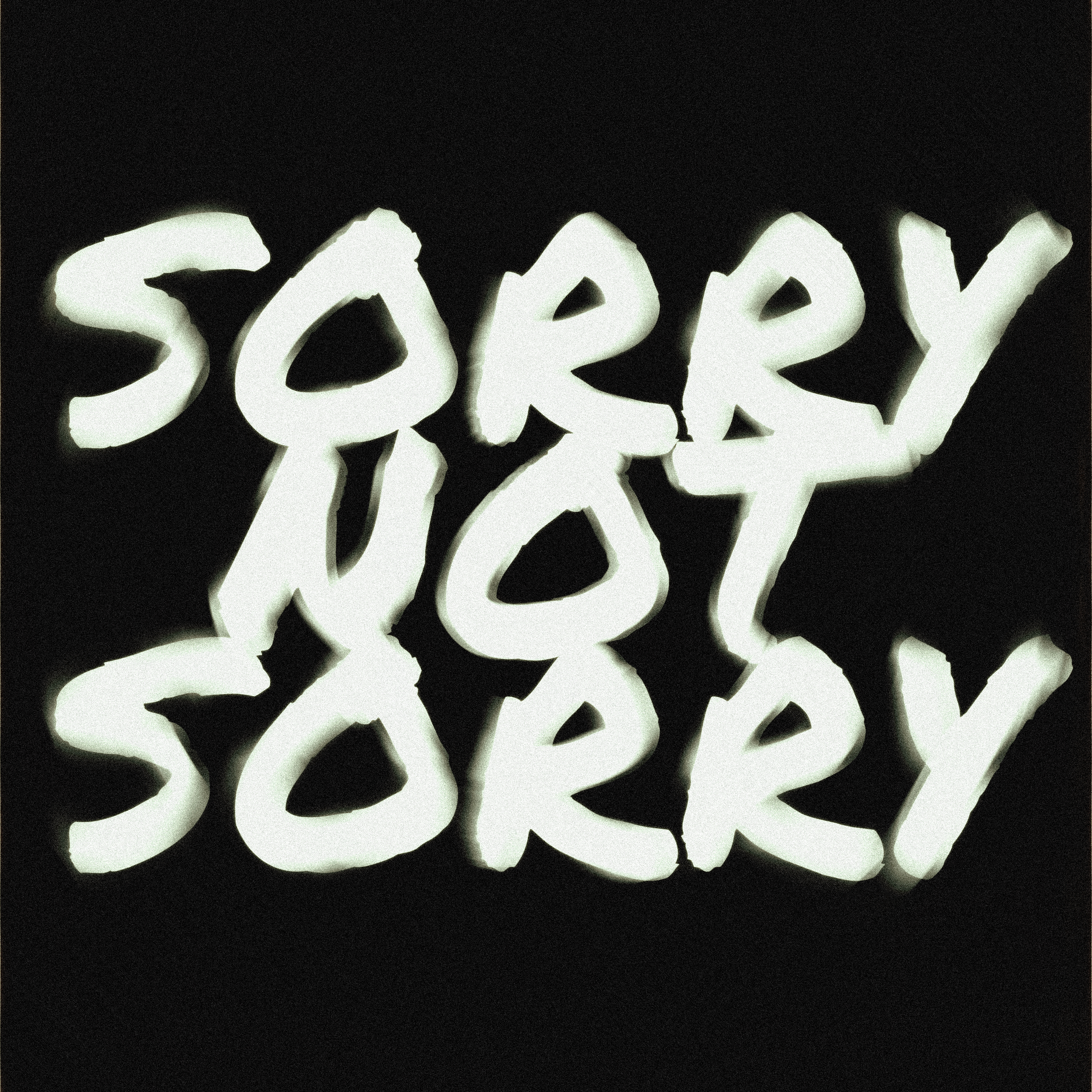 SORRY NOT SORRY artwork