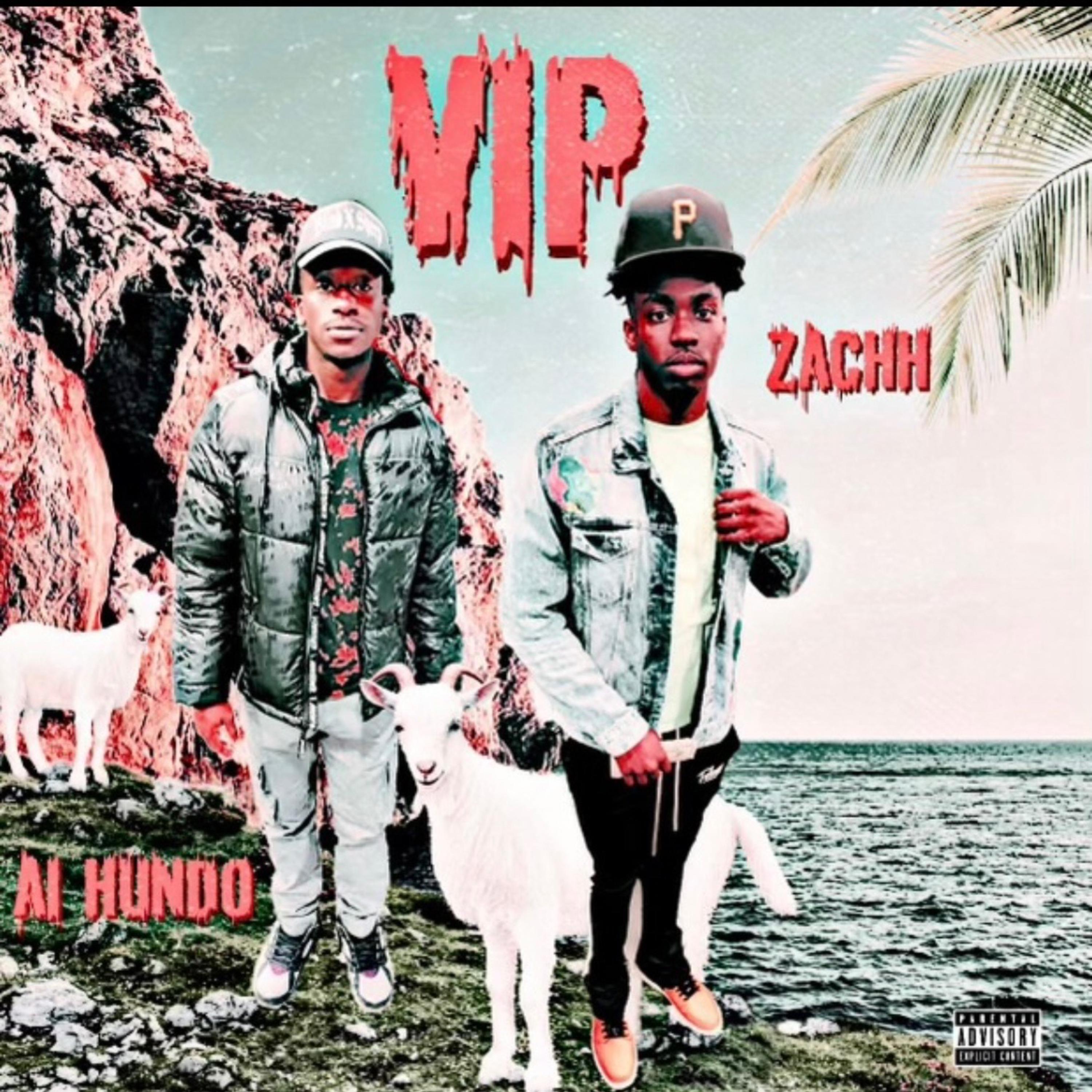 Vip artwork