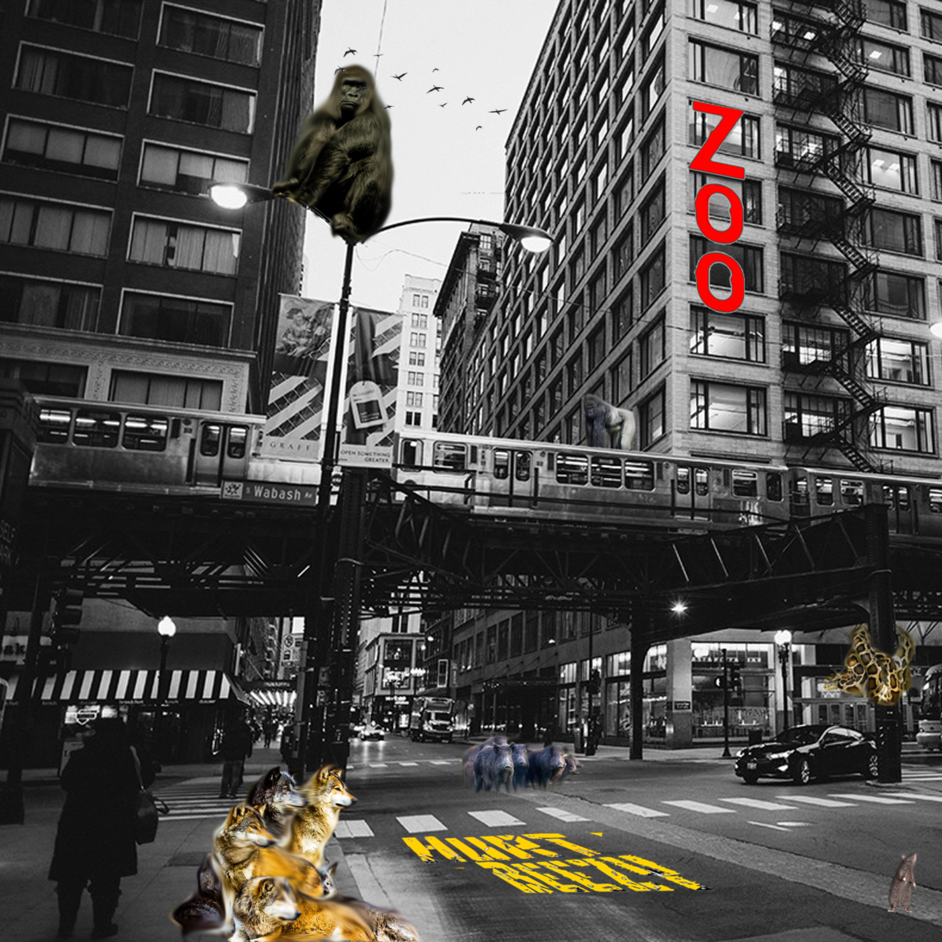Zoo by BeezyOnDemKeyz cover art