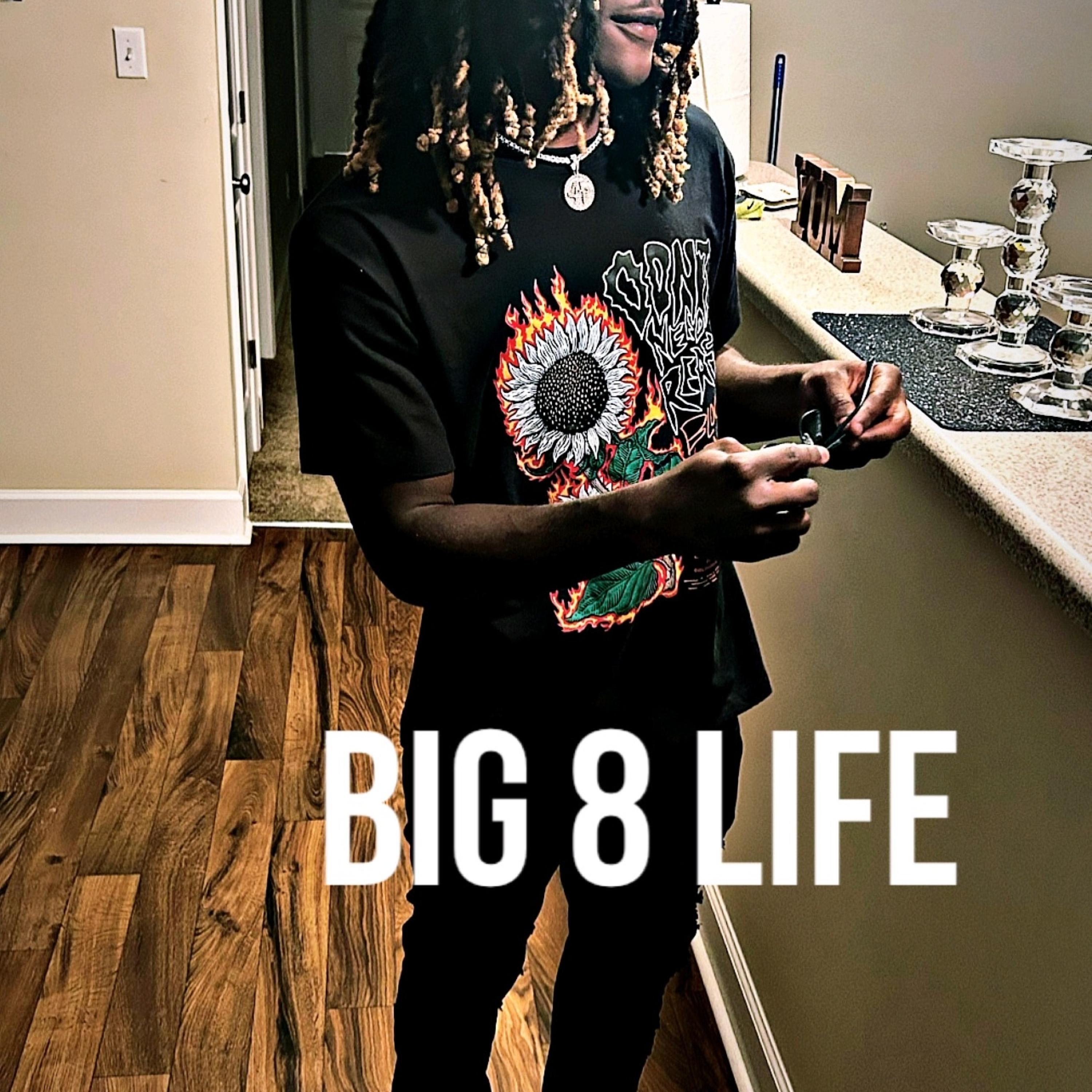 BIG 8 Life artwork