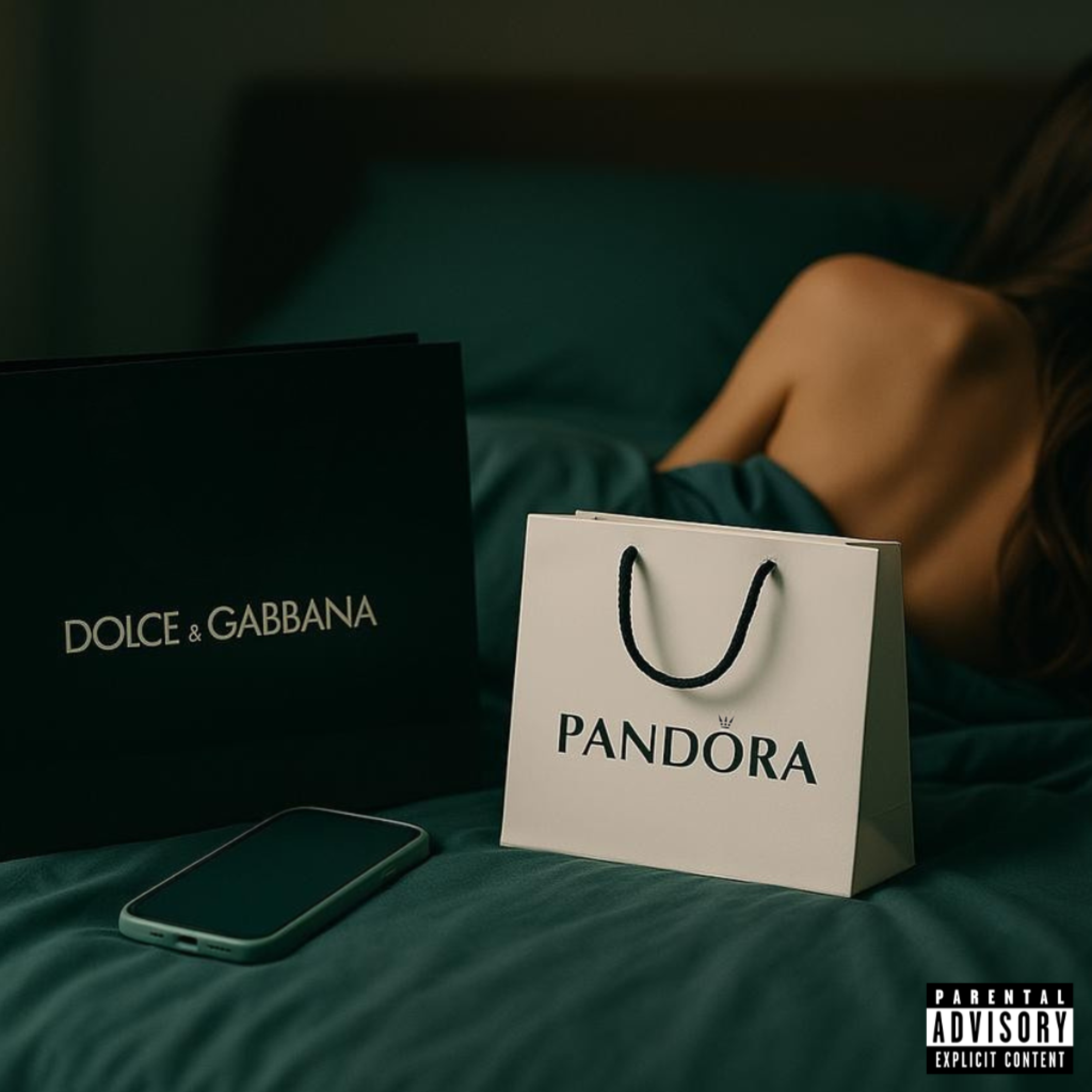 Foi ela que veio artwork