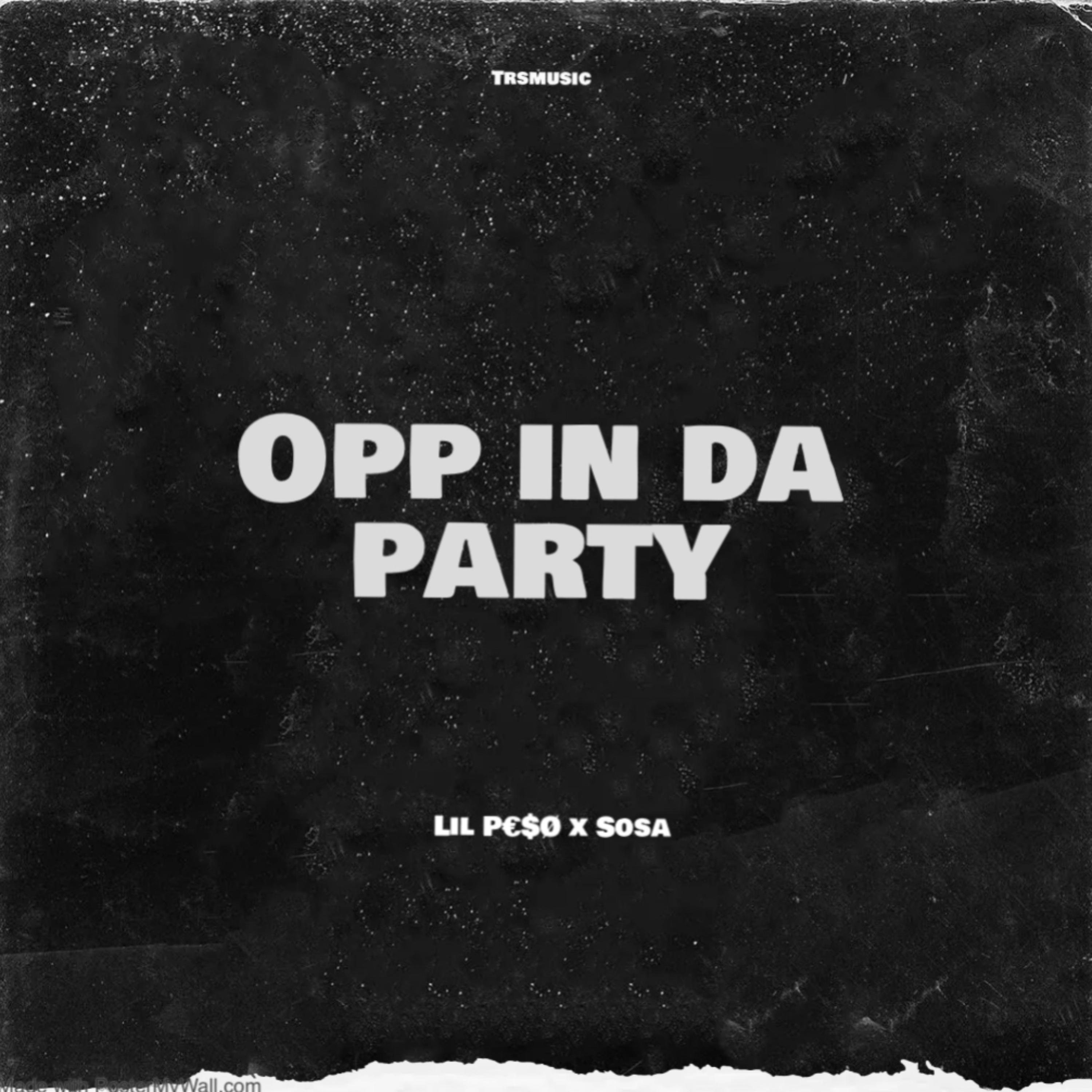 Opp In Da Party artwork