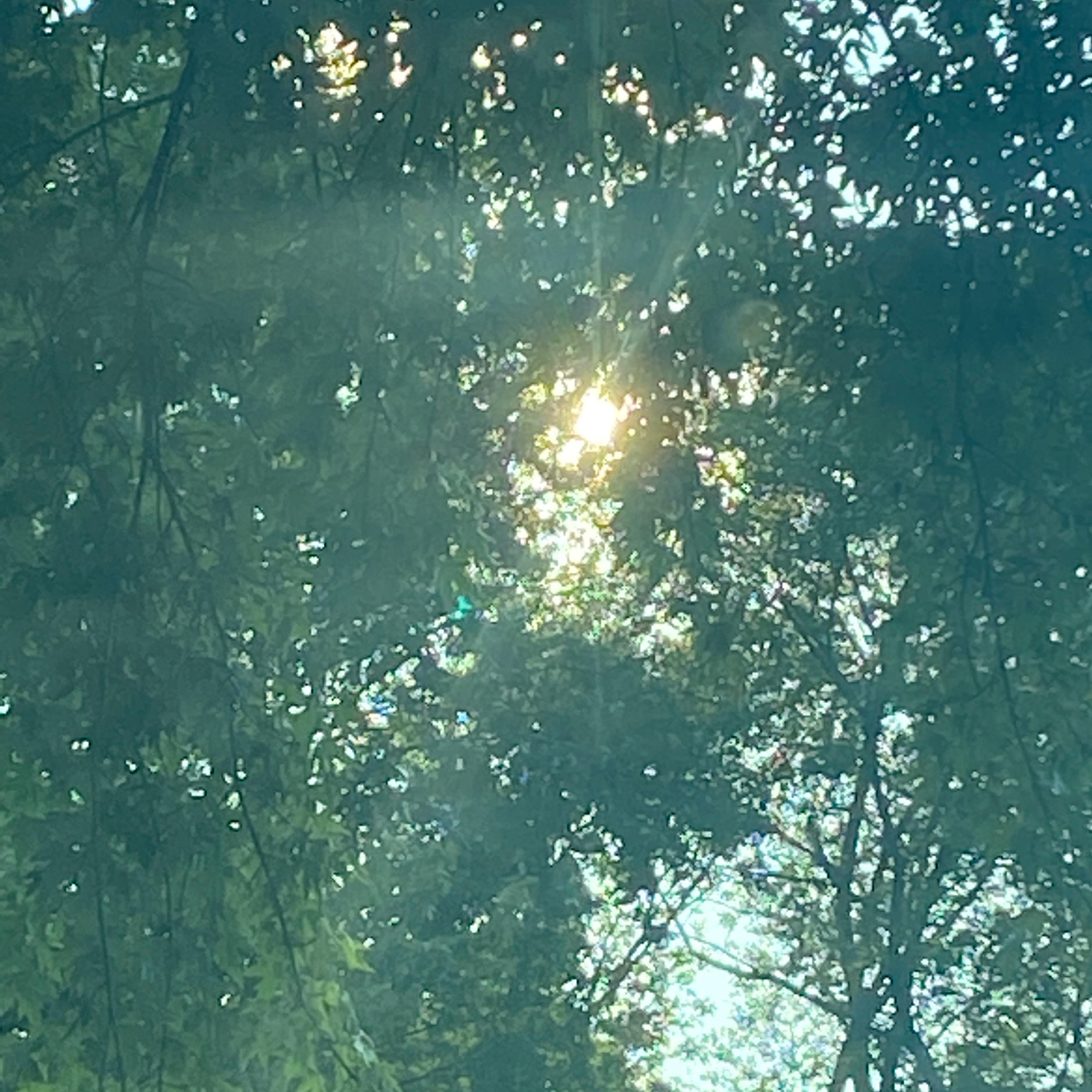 Praise The Most High artwork