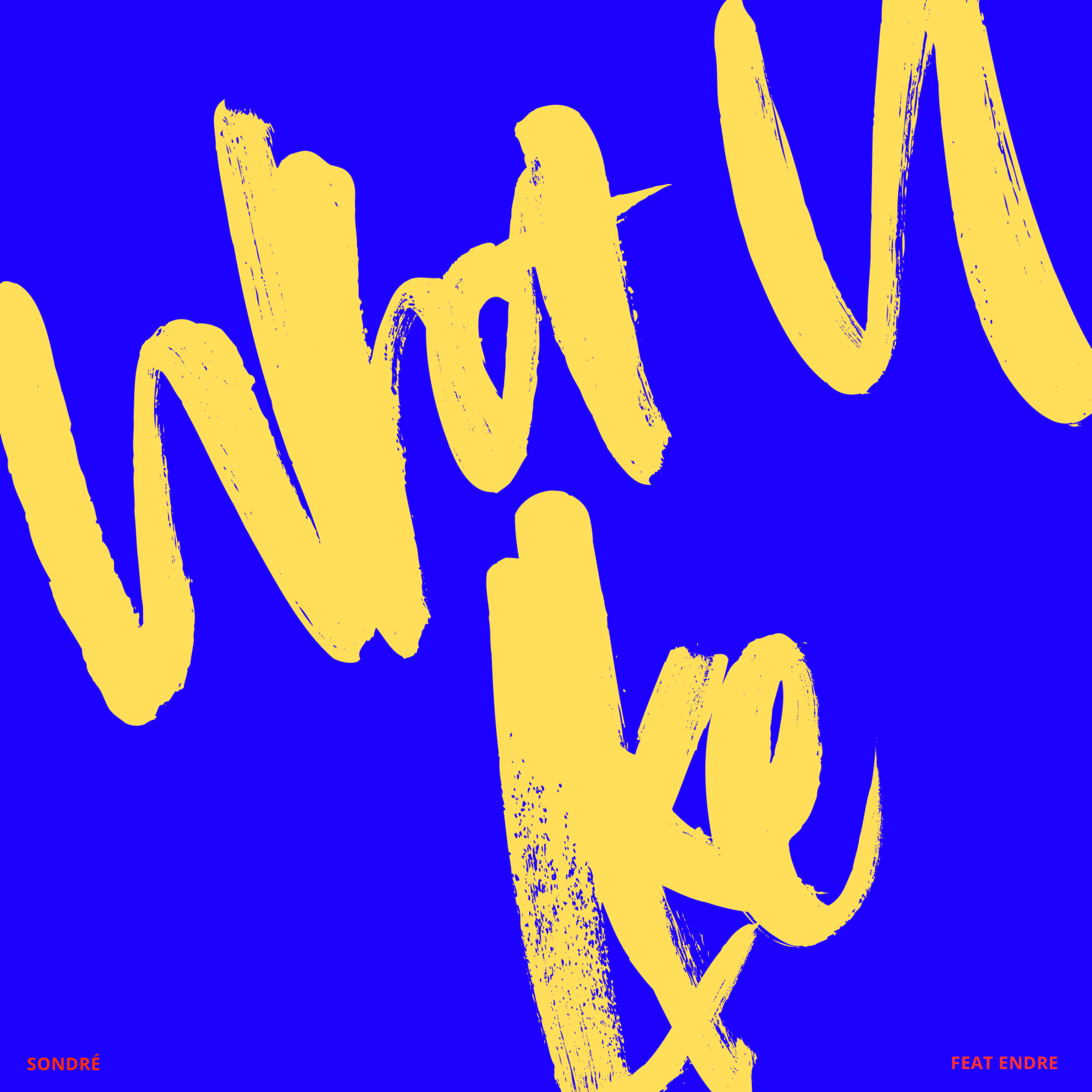 What U Like by Sondré cover art