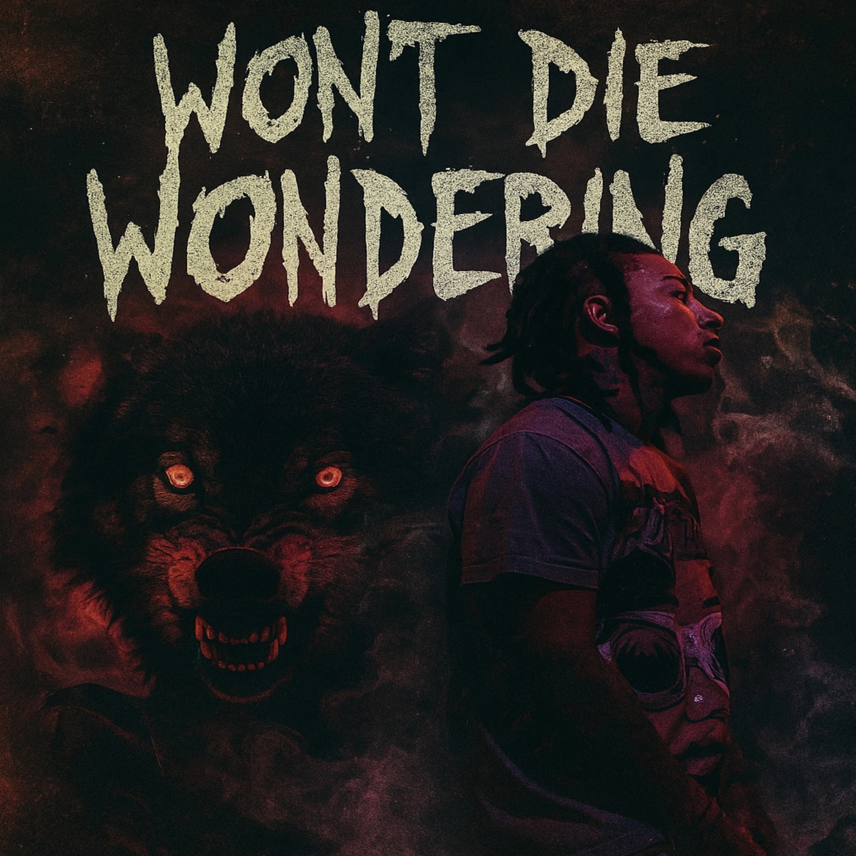 Won’t Die Wondering artwork