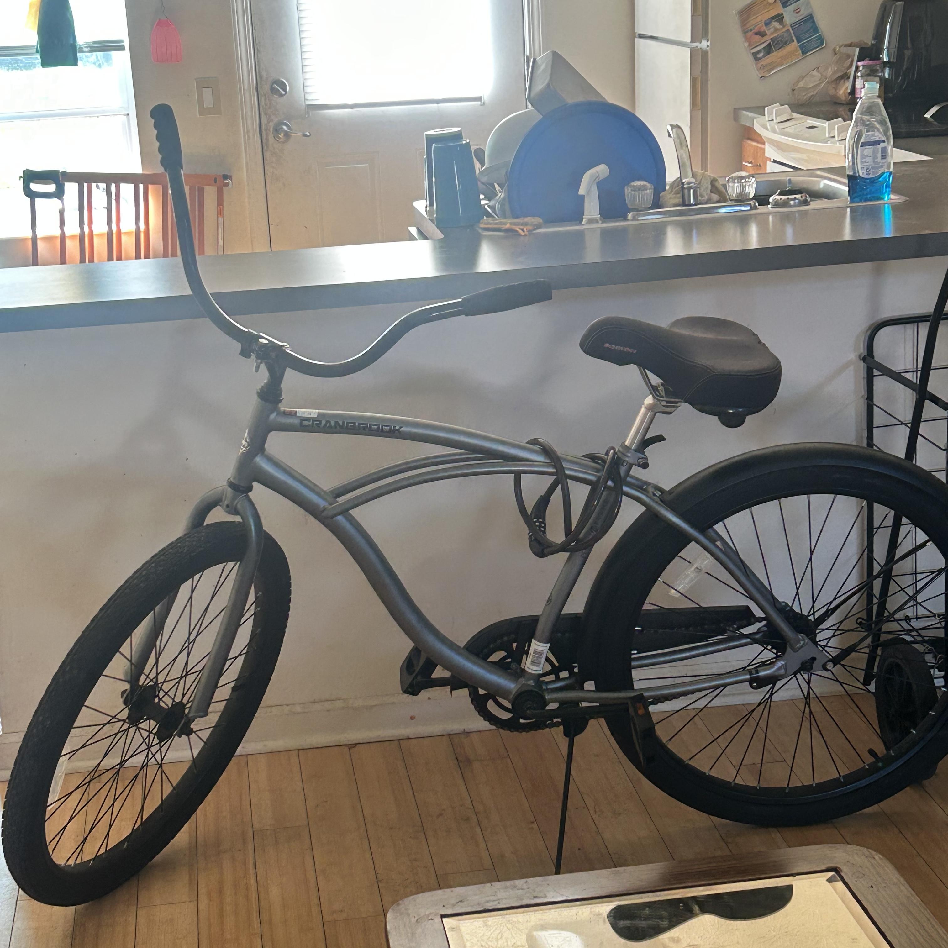 America The Beautiful artwork