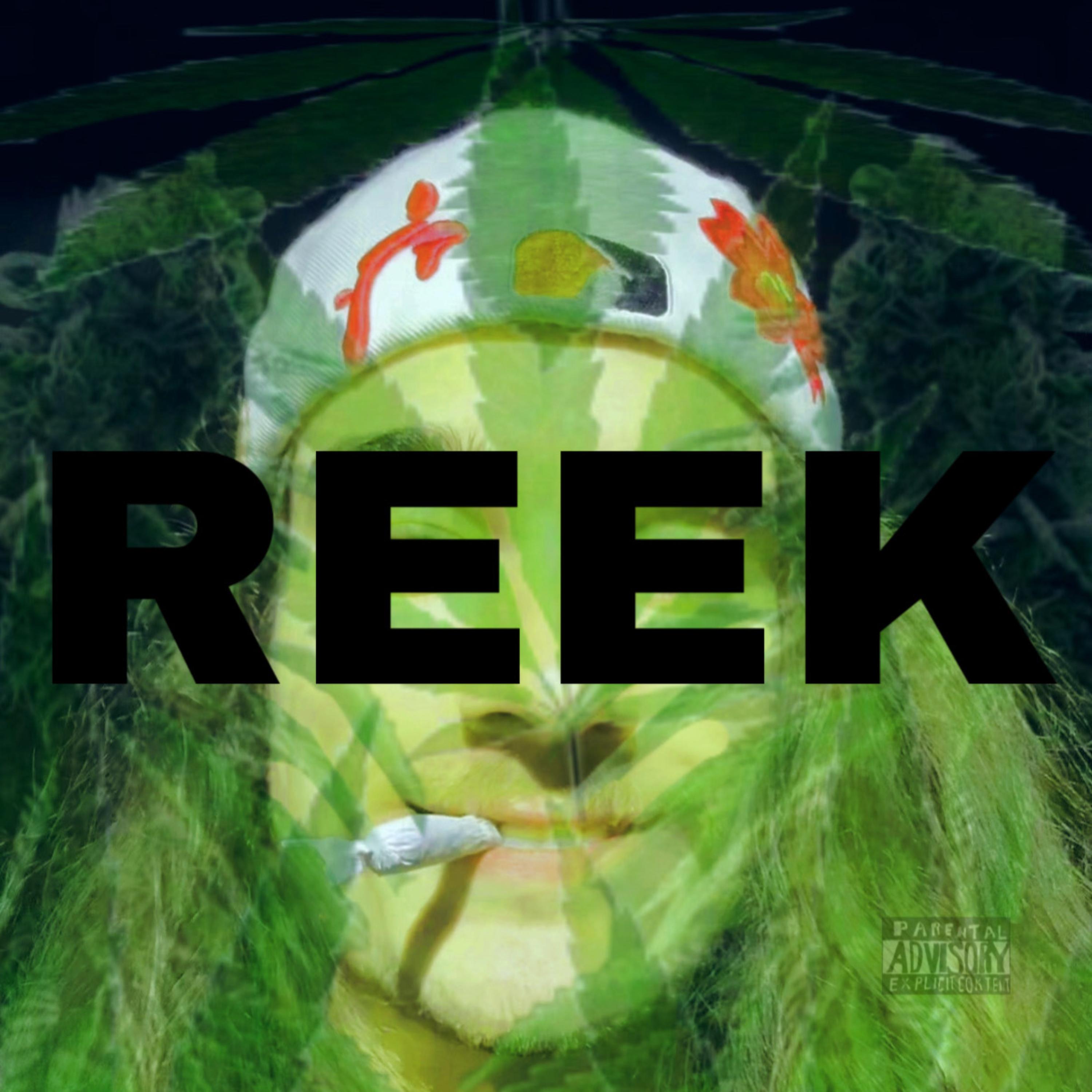 REEK artwork