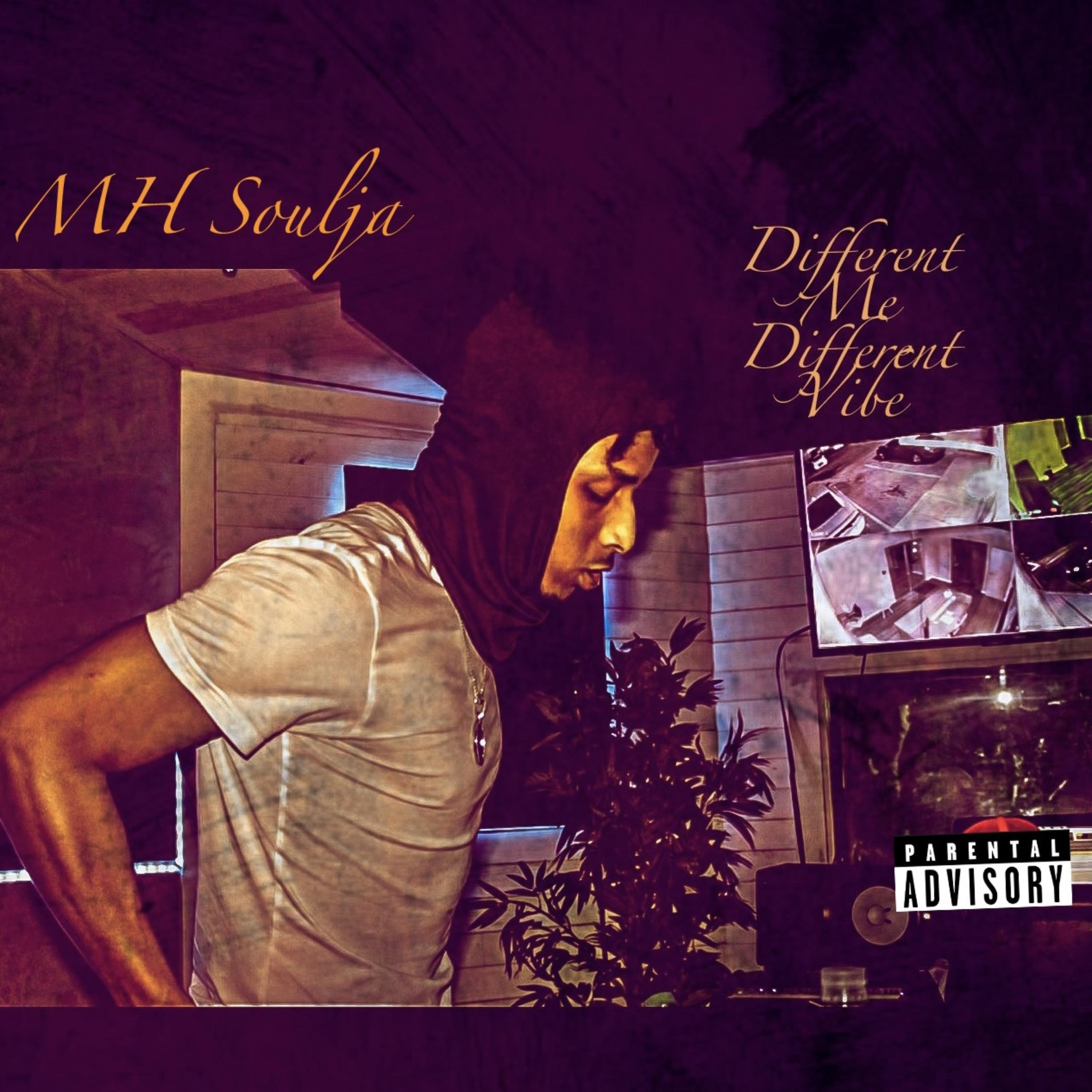 Different Me Different Vibe artwork