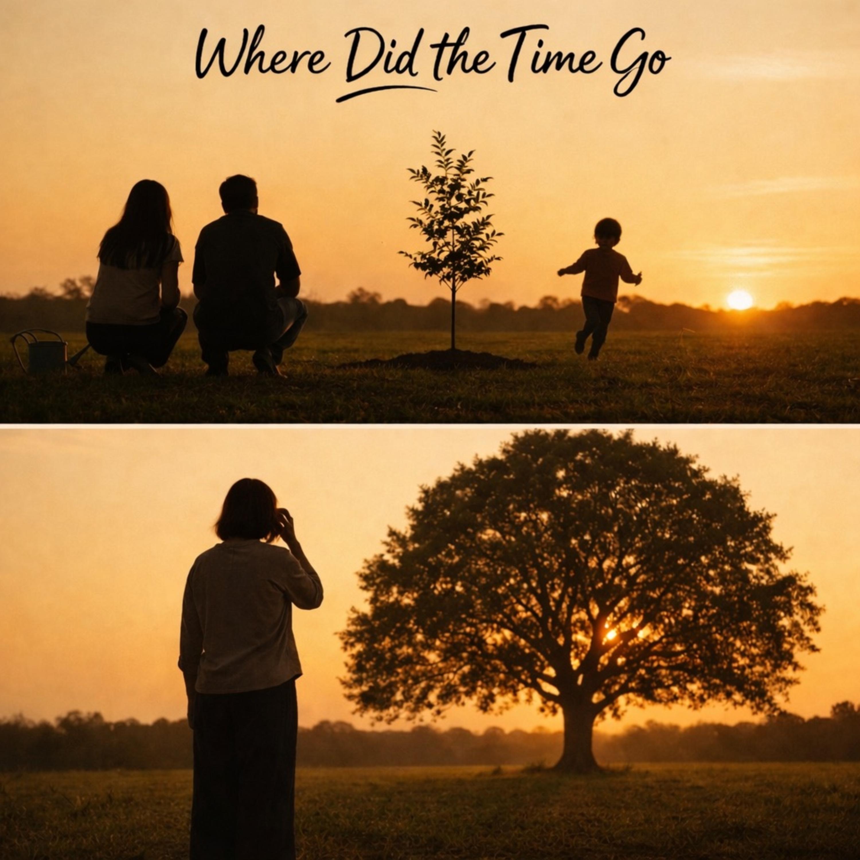 Where Did the Time Go artwork