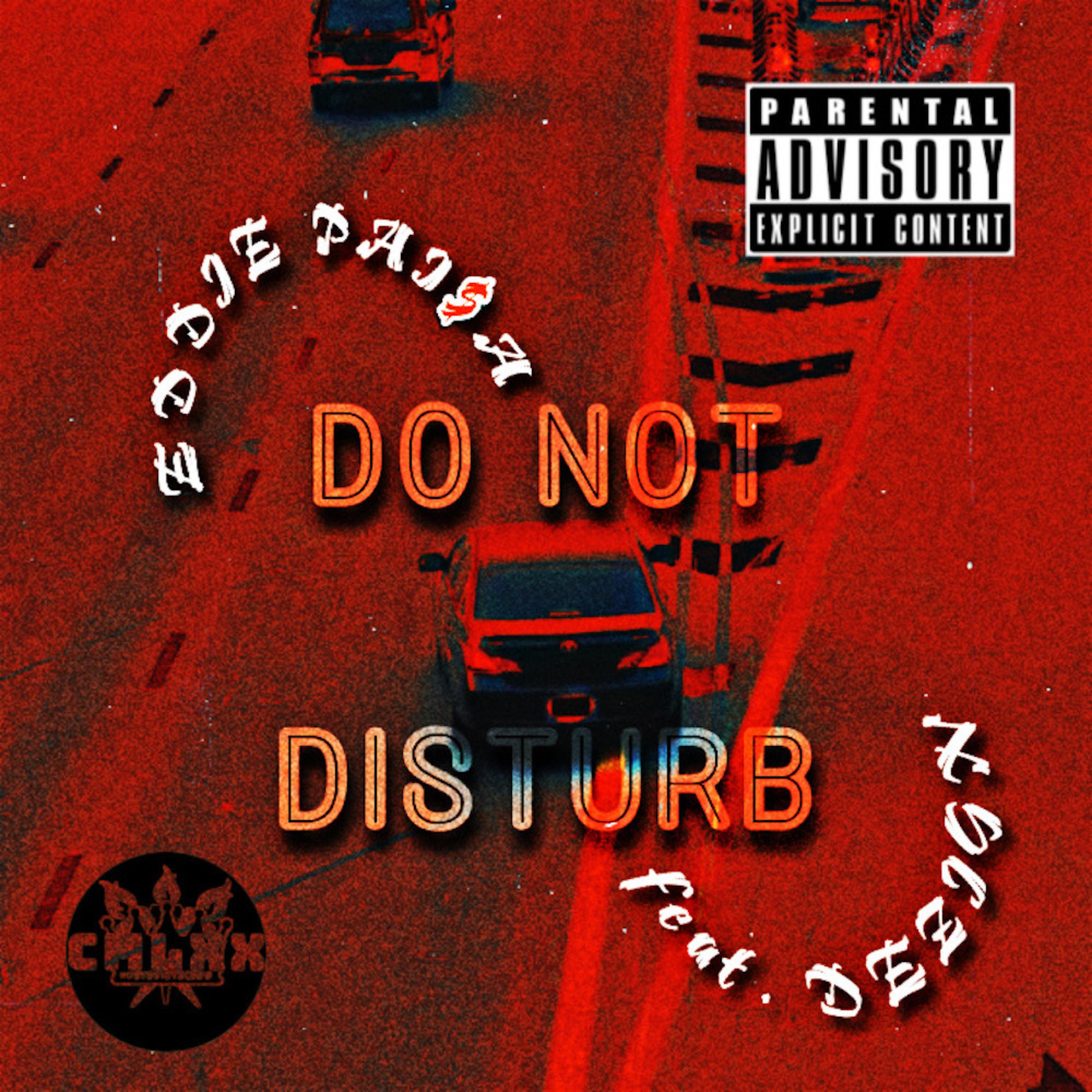 DONOTDISTURB artwork