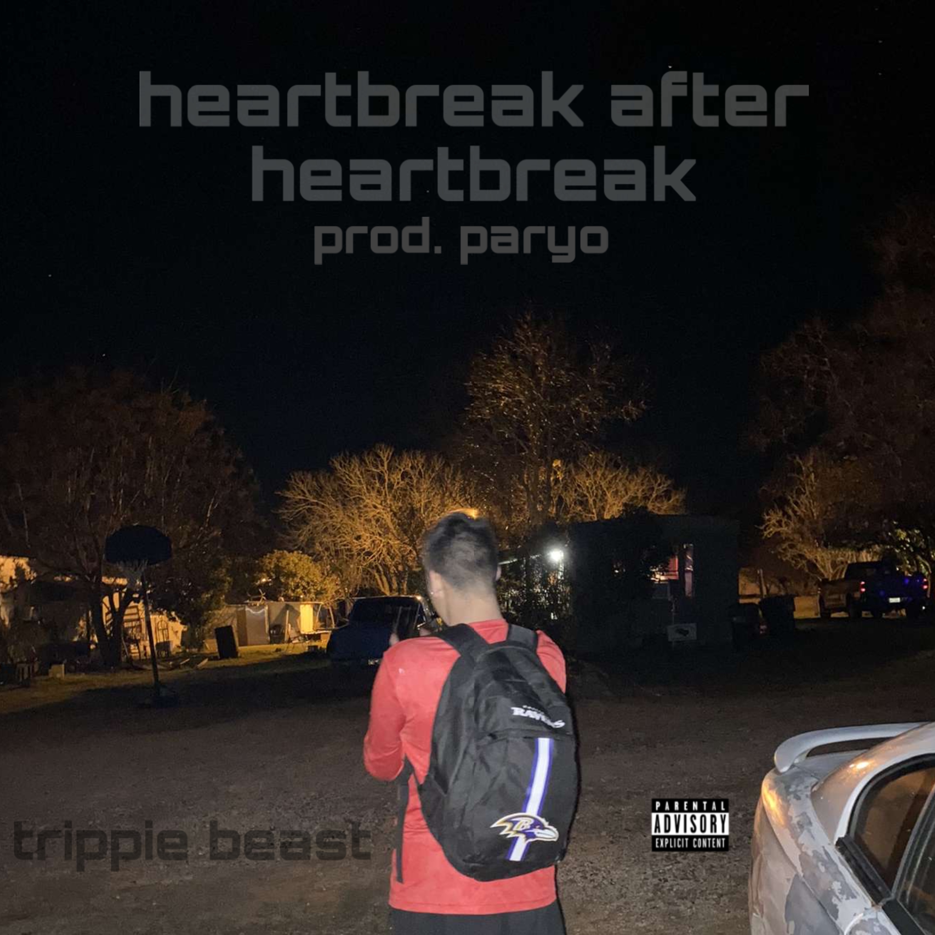 Heartbreak After Heartbreak artwork