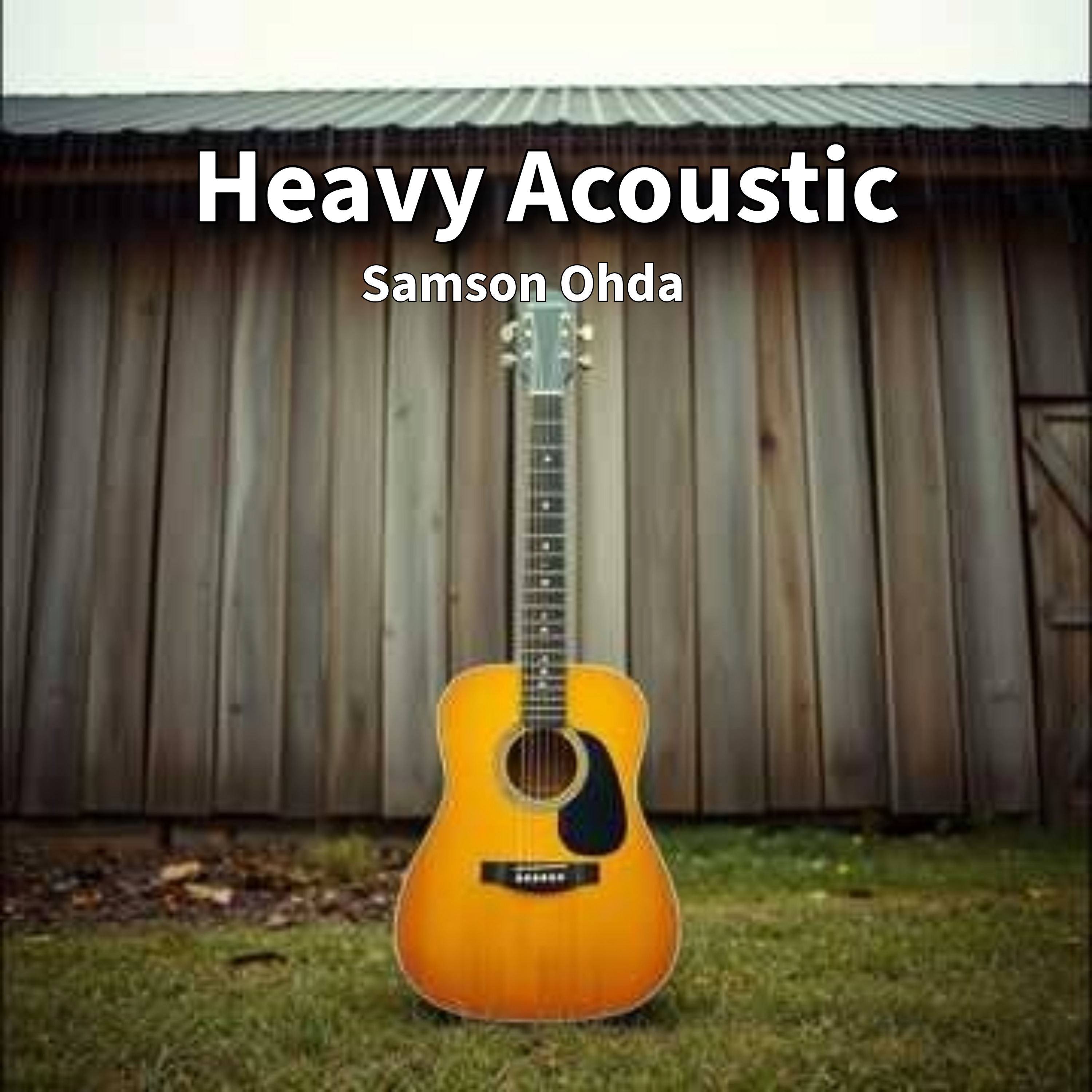 Heavy Acoustic Vol 2 Album artwork