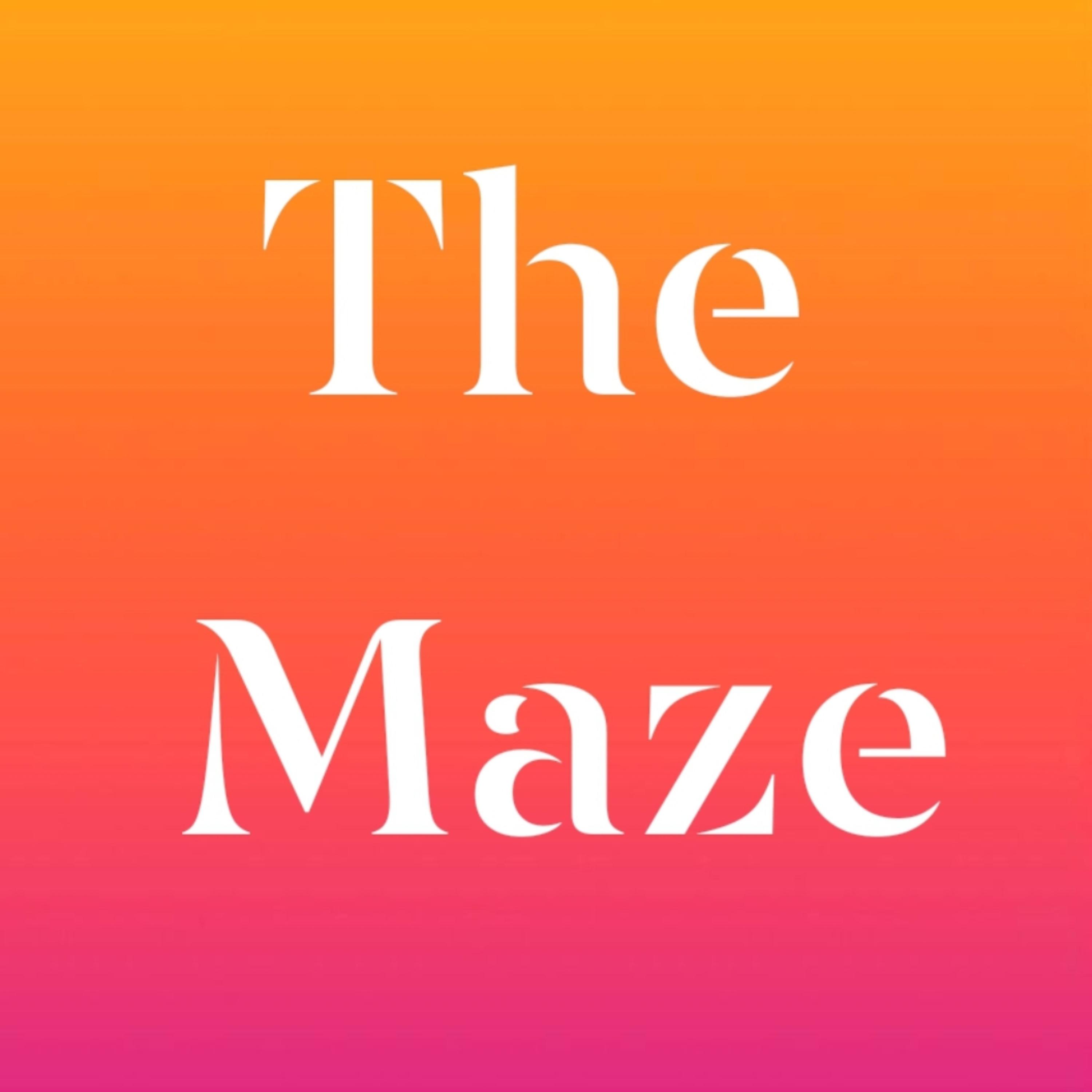 The Maze  by Dakota Bishop cover art