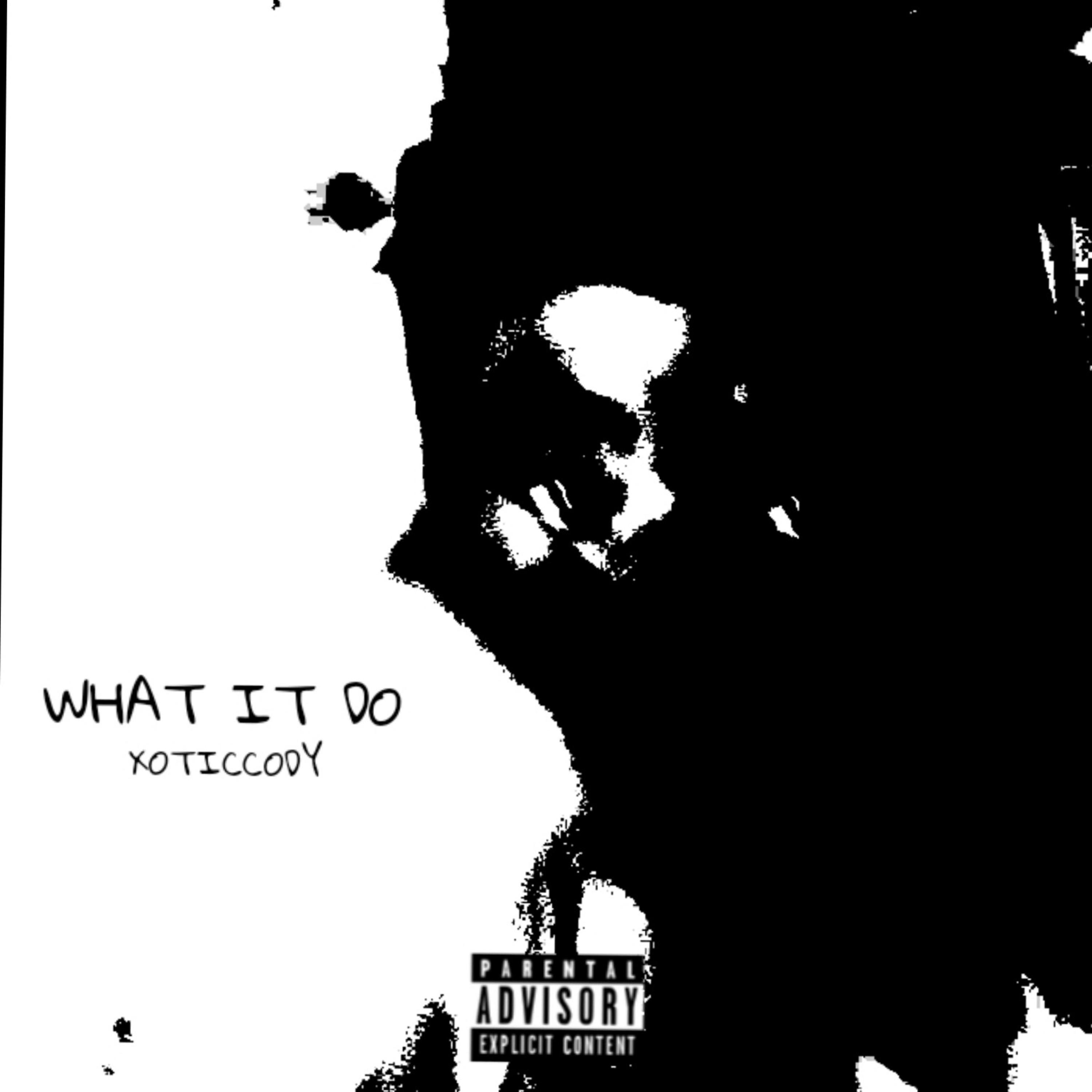 WHAT IT DO artwork