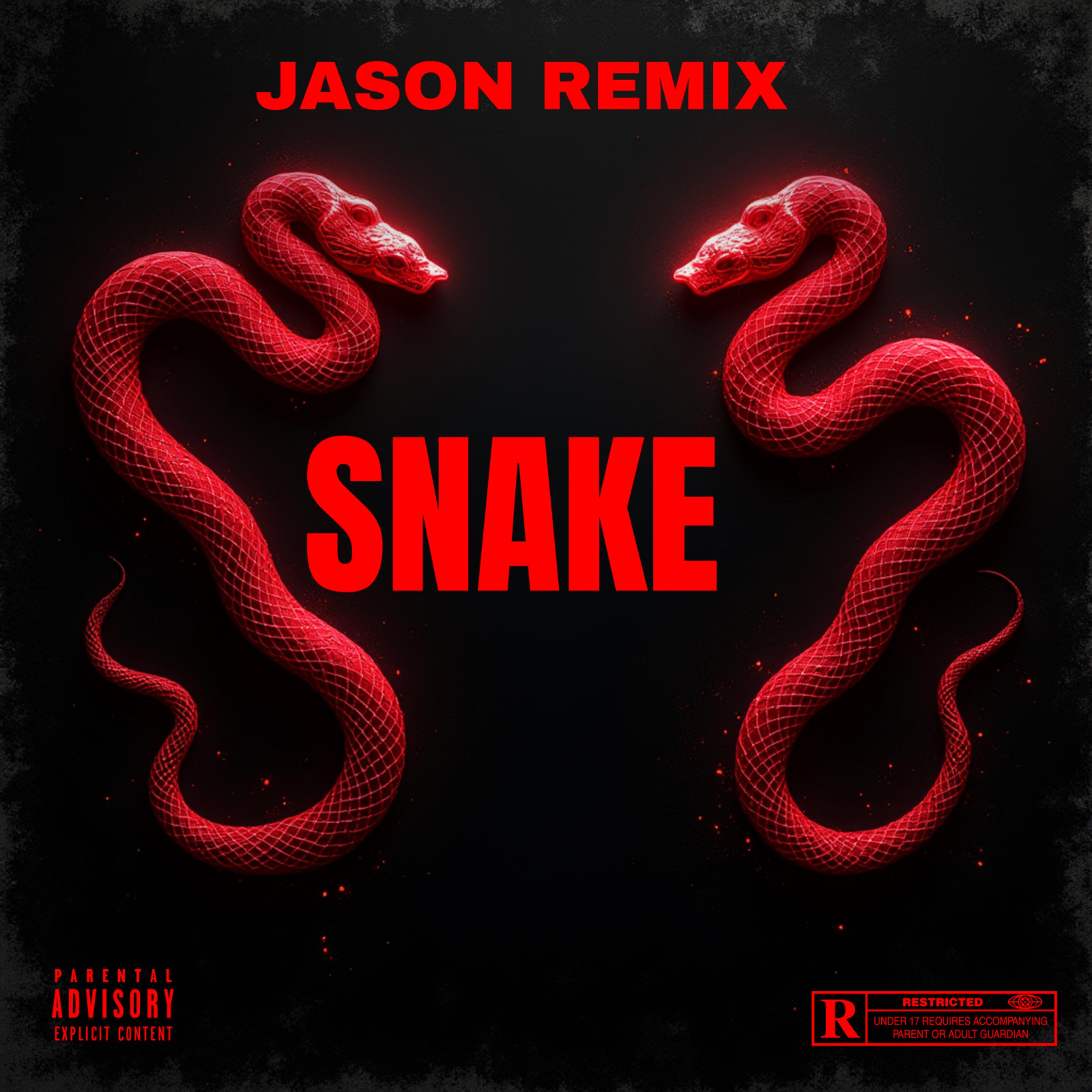 Snake artwork