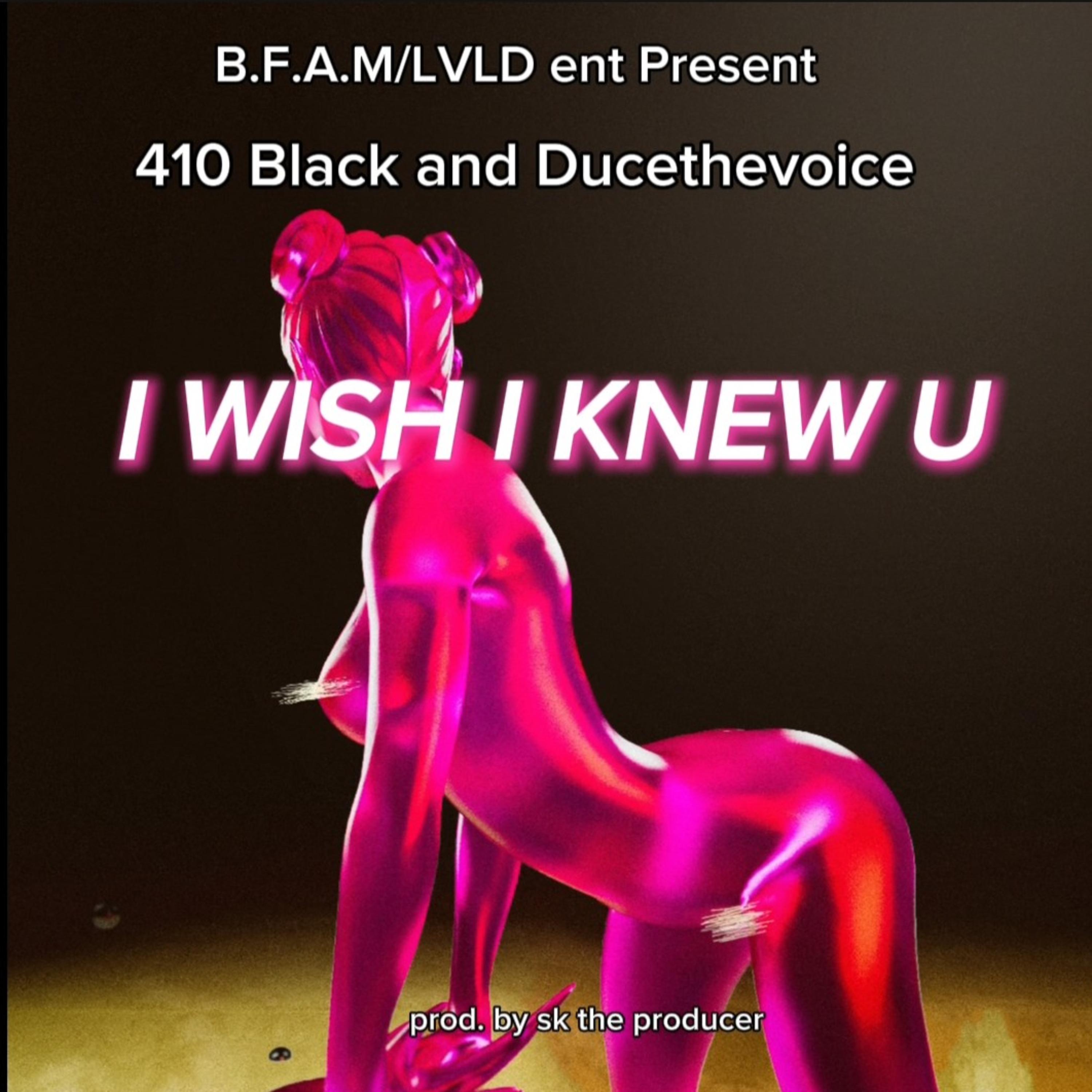 I WISH I KNEW U artwork