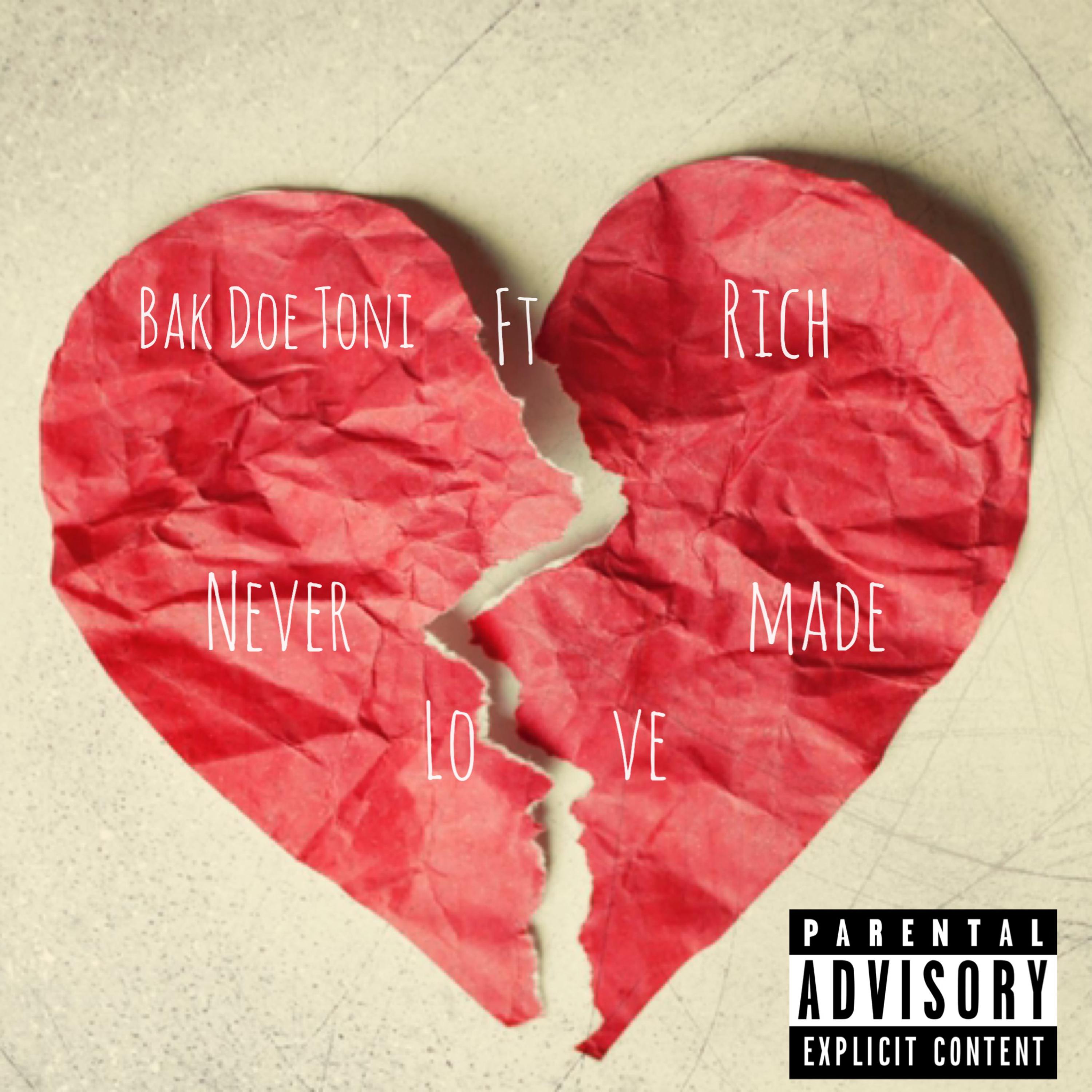 Never Made Love artwork