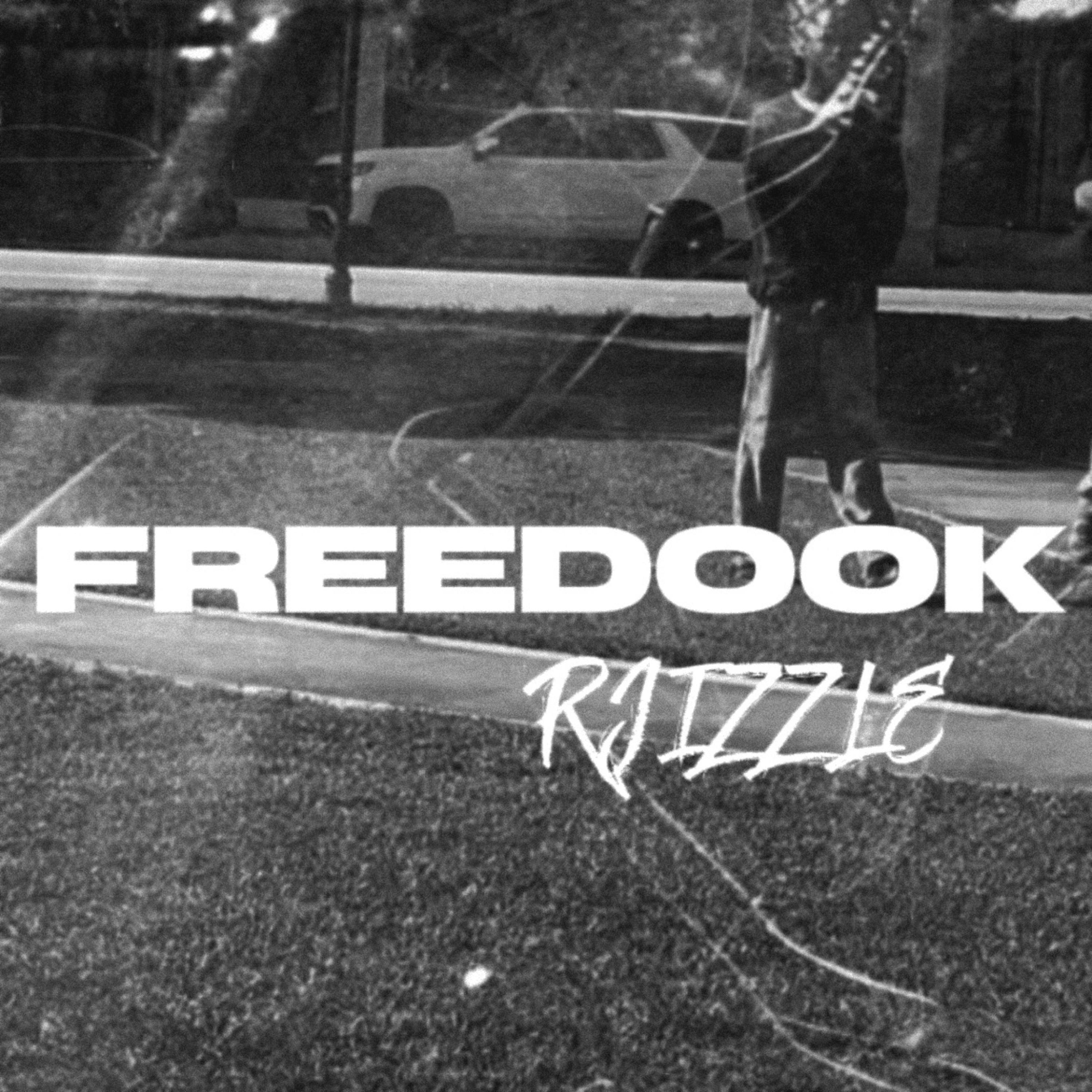 FREEDOOK artwork