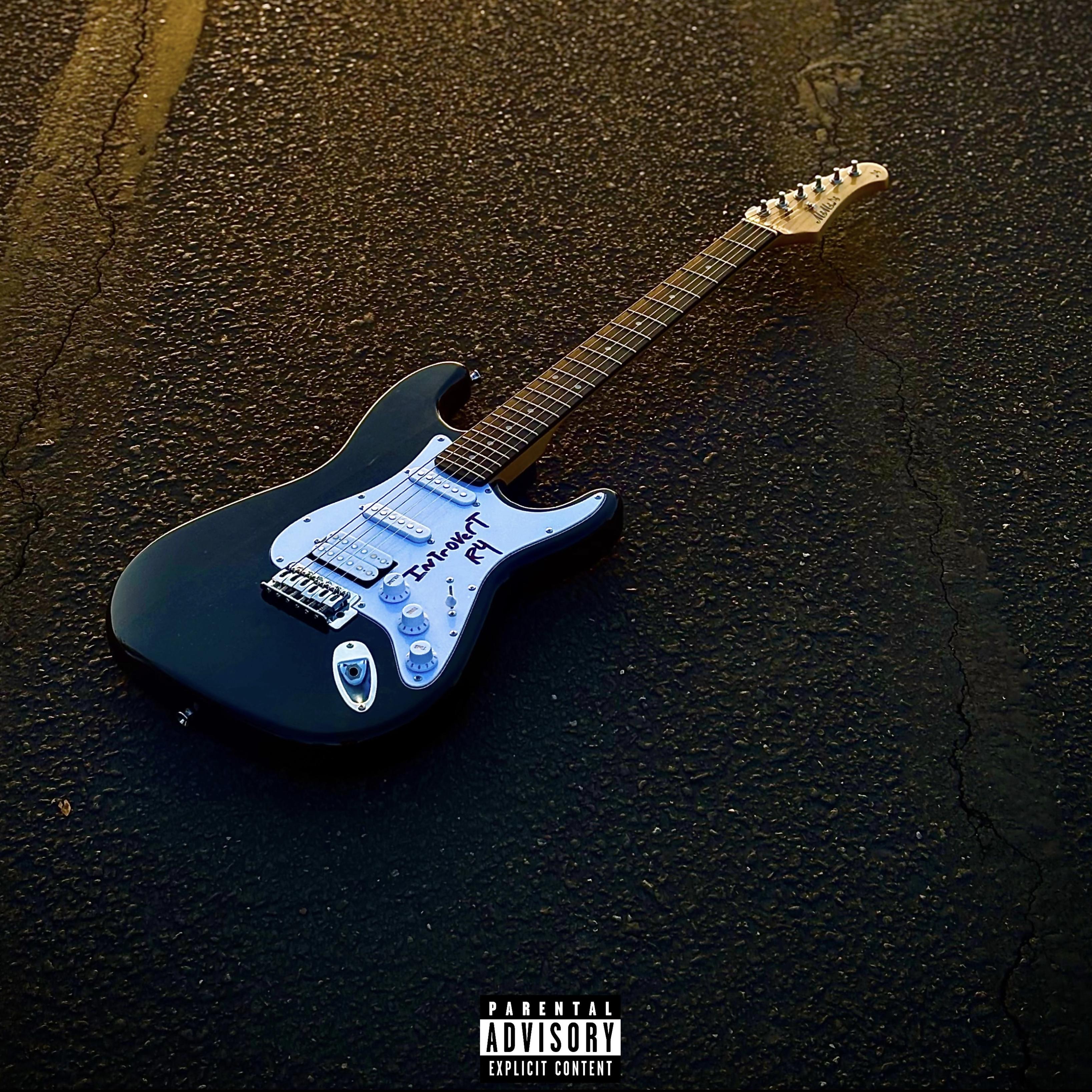 INTROV4RT artwork