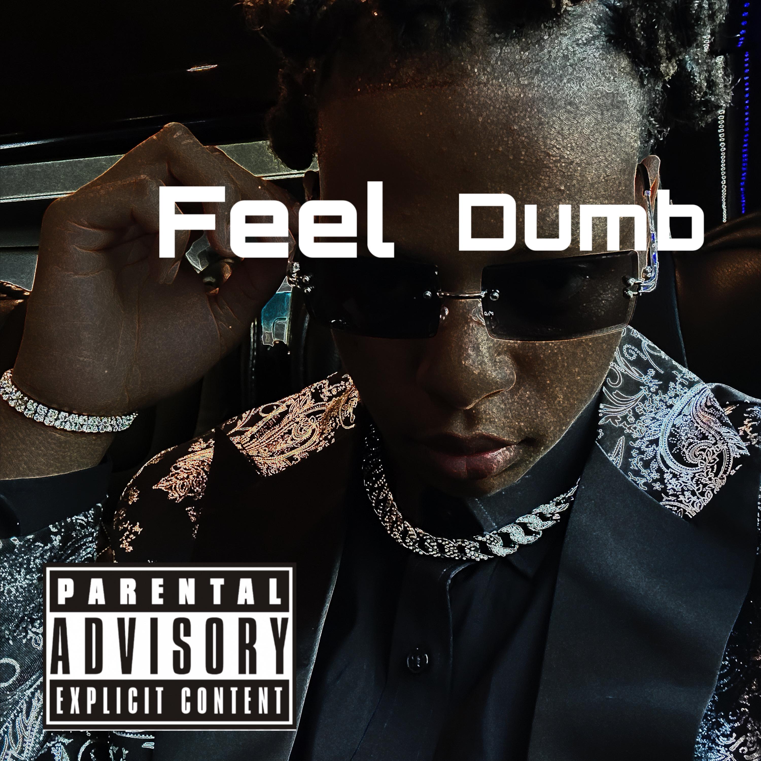 Feel Dumb artwork