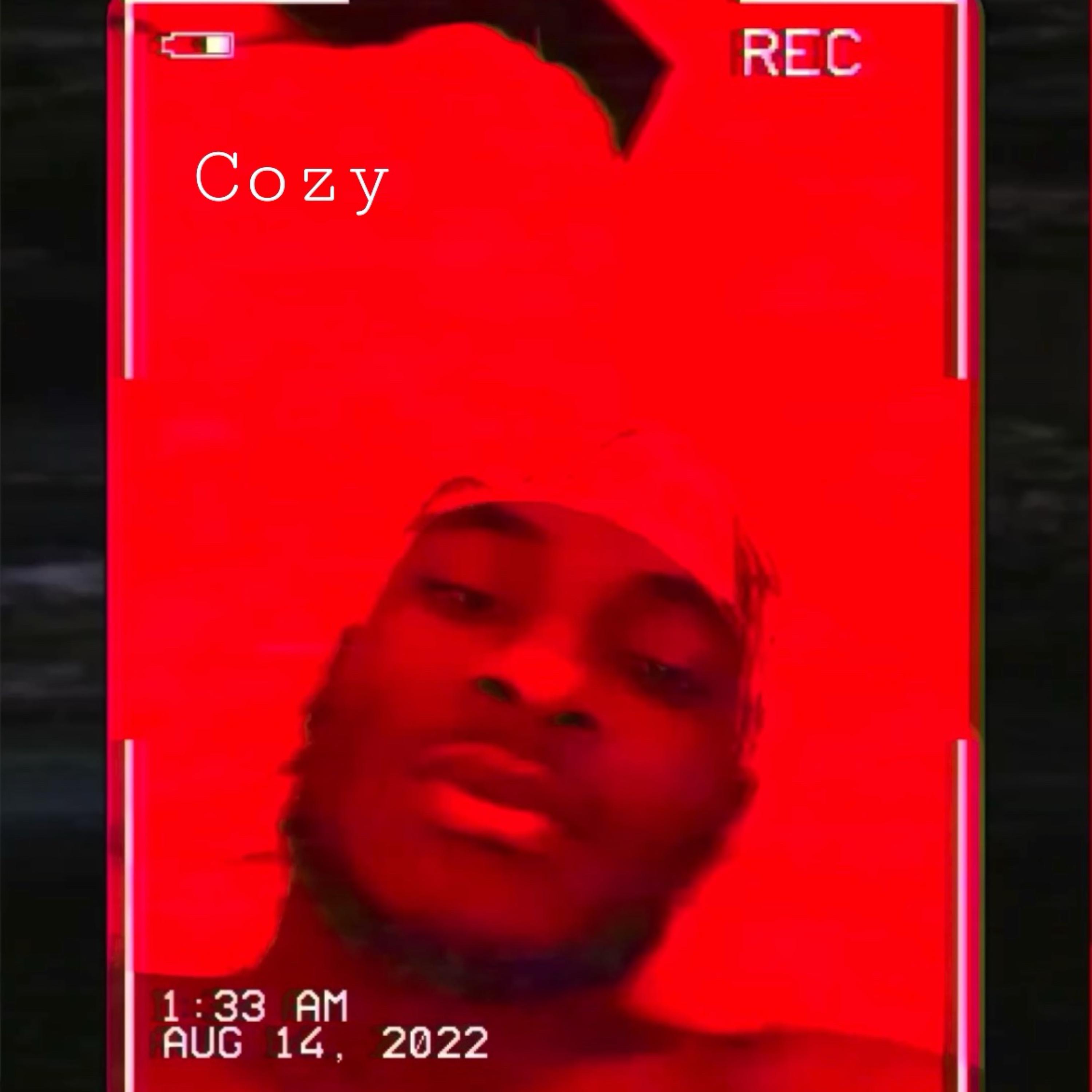 Cozy artwork