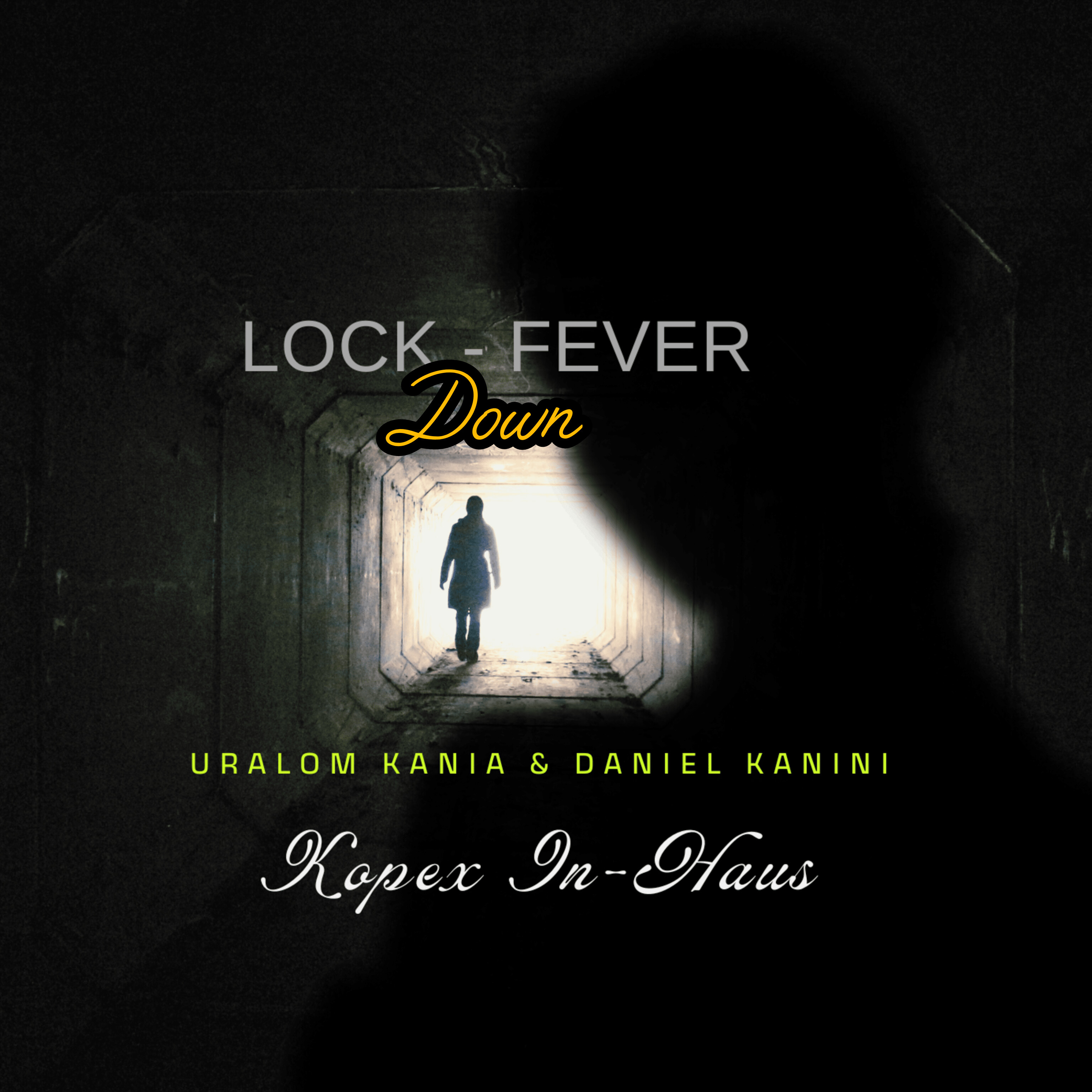 Lock Down- Fever artwork