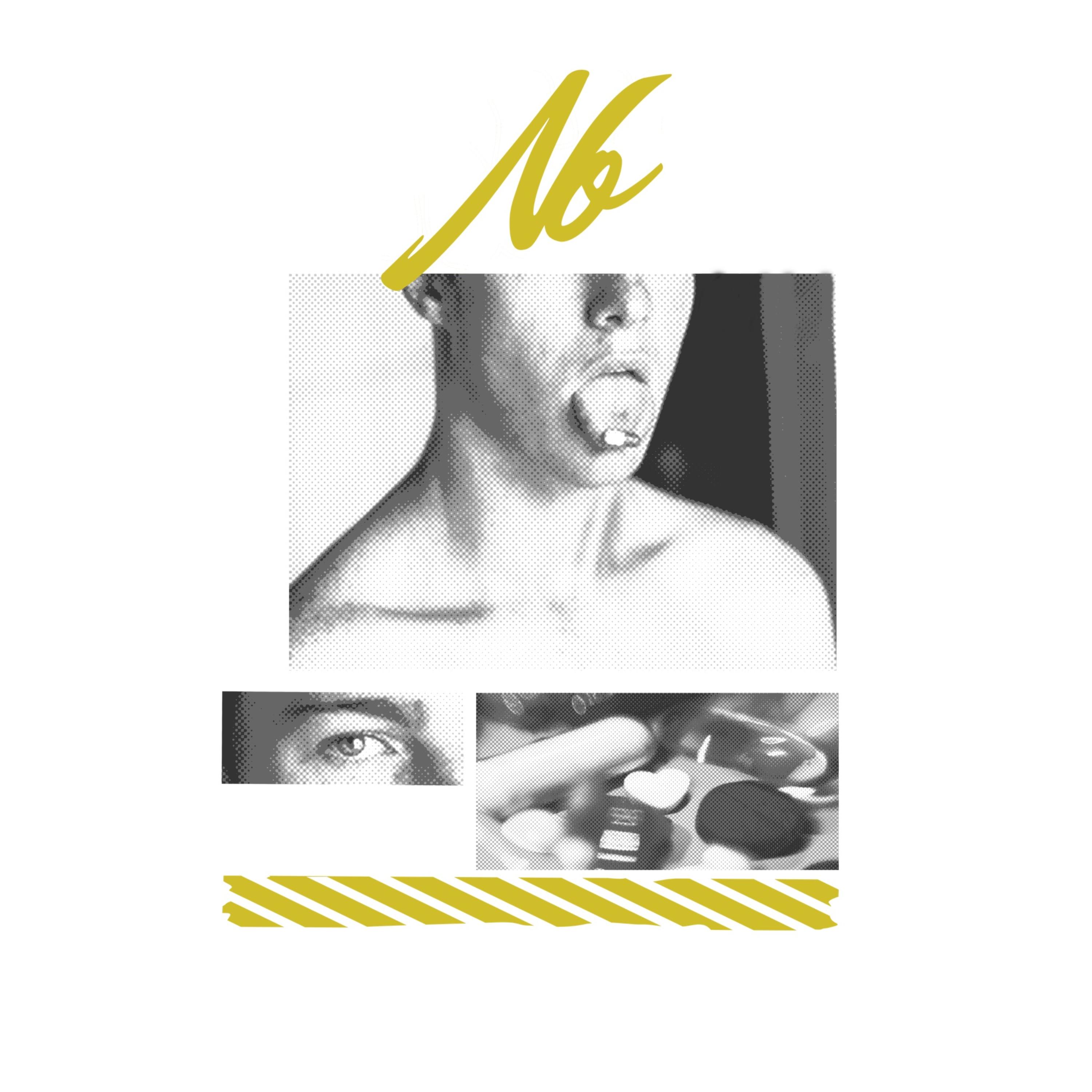 Say NO To Pugs artwork