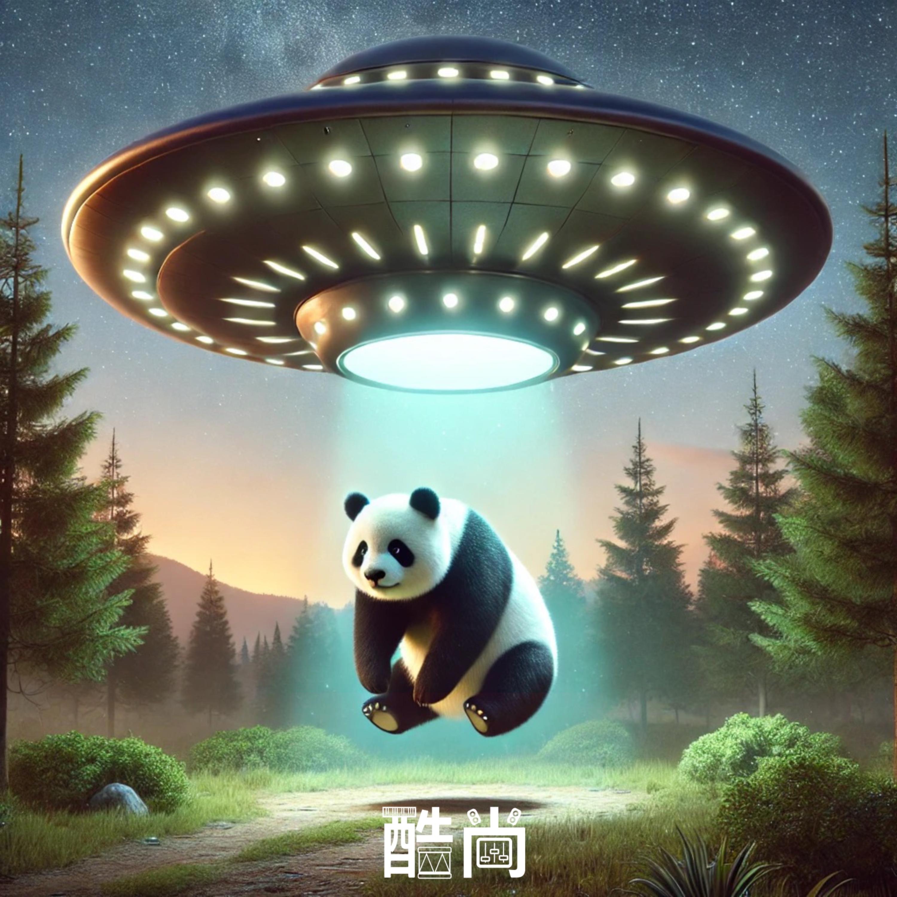 Dreamers Rise artwork