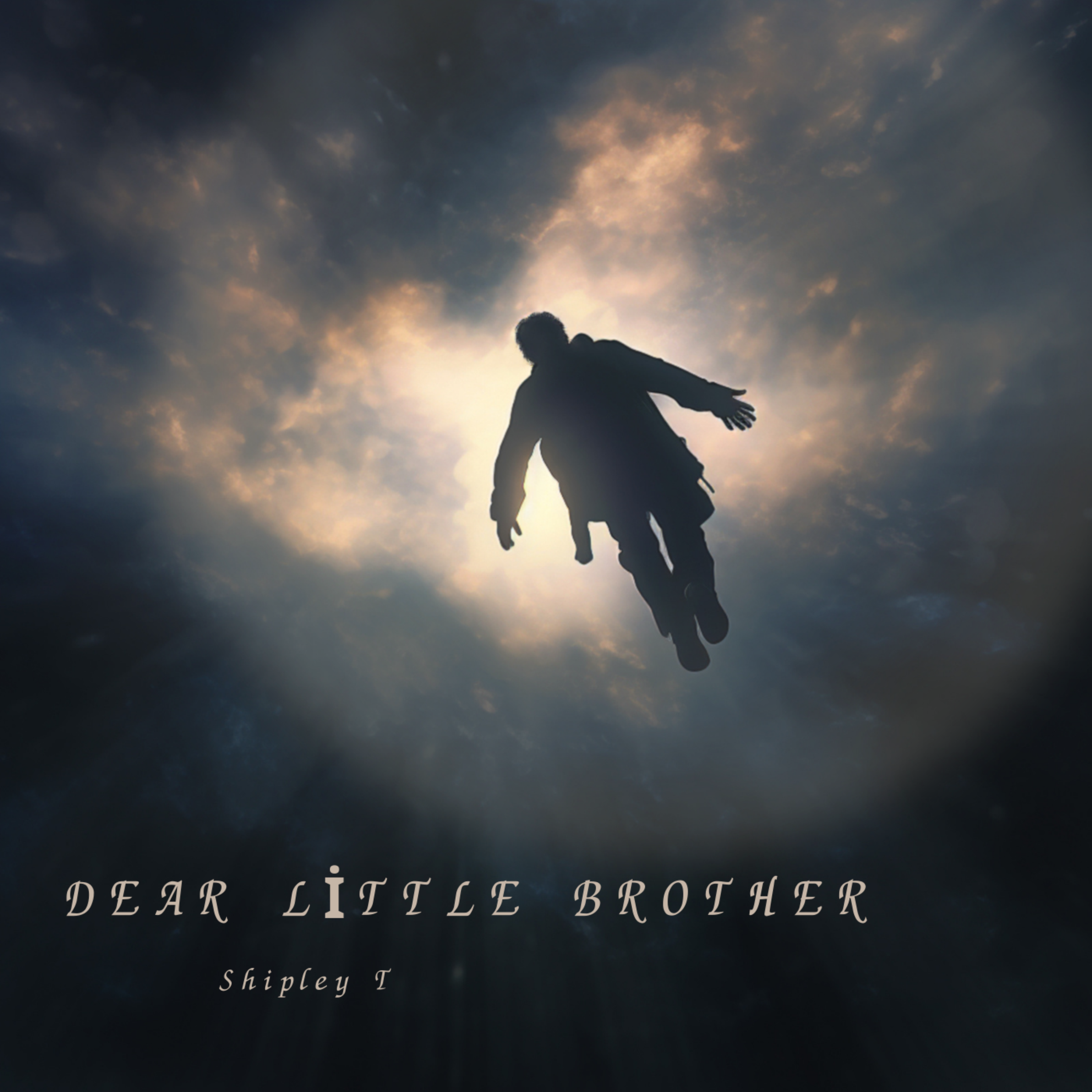 Dear Little Brother artwork