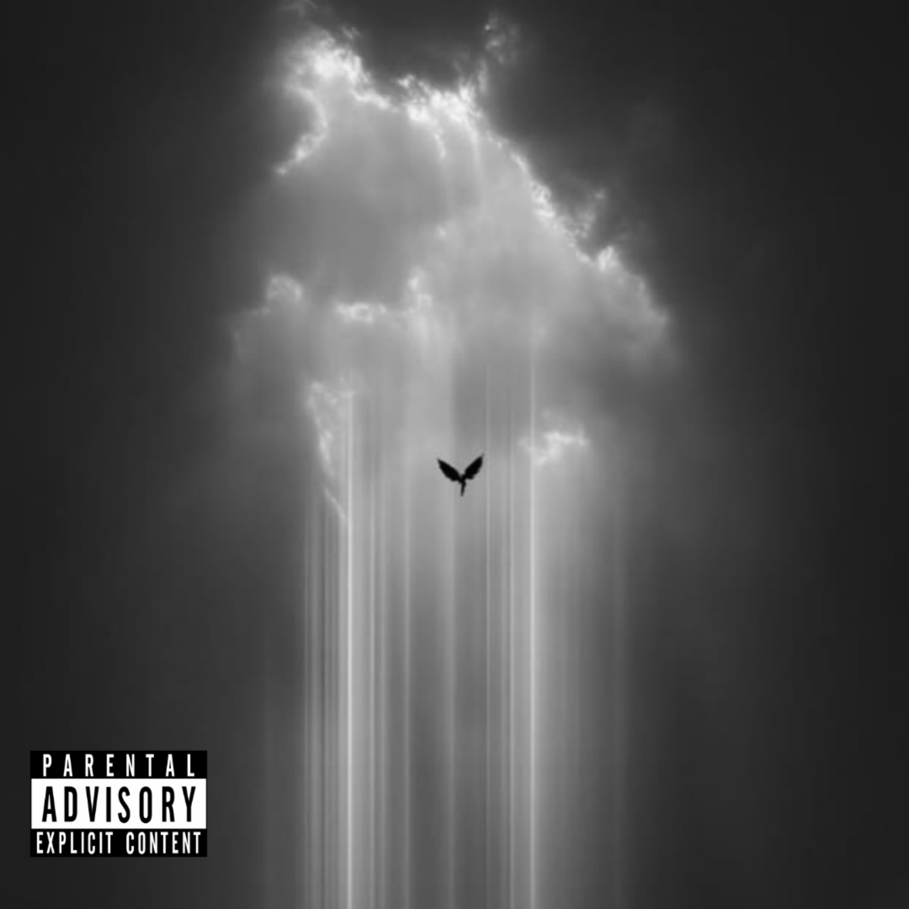 PROBLEM artwork