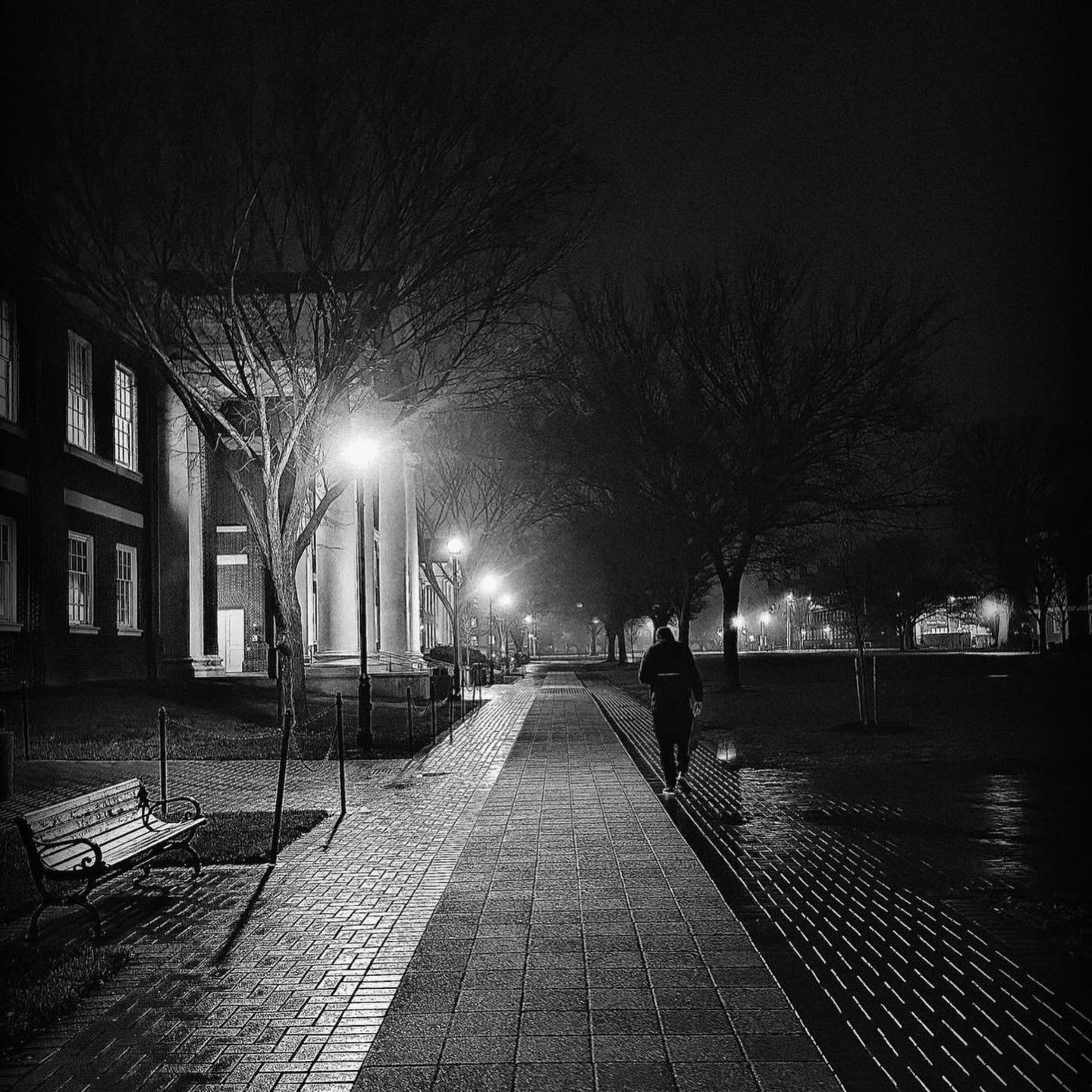 THE SEARCH FOR TRUTH artwork