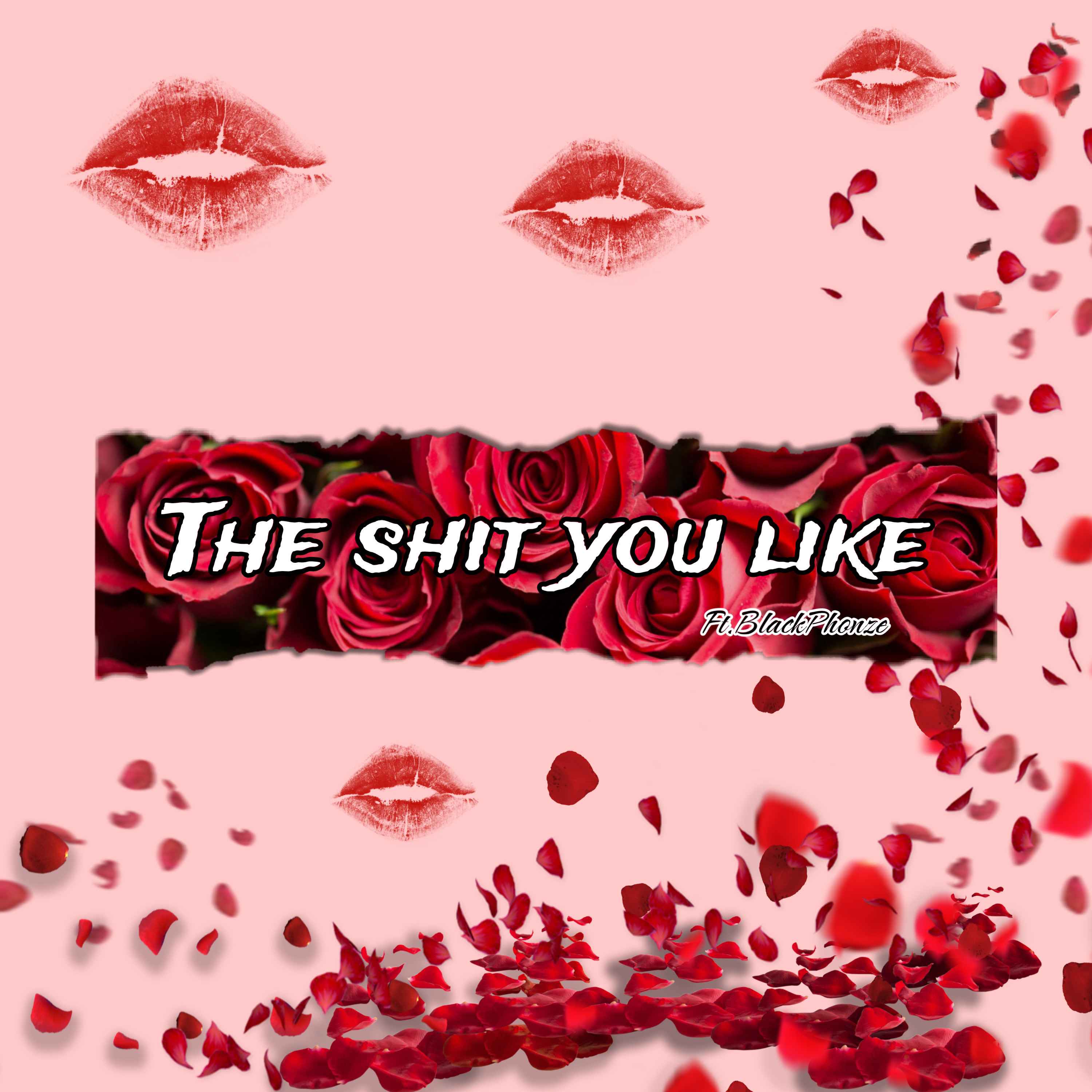 The Shit You Like artwork