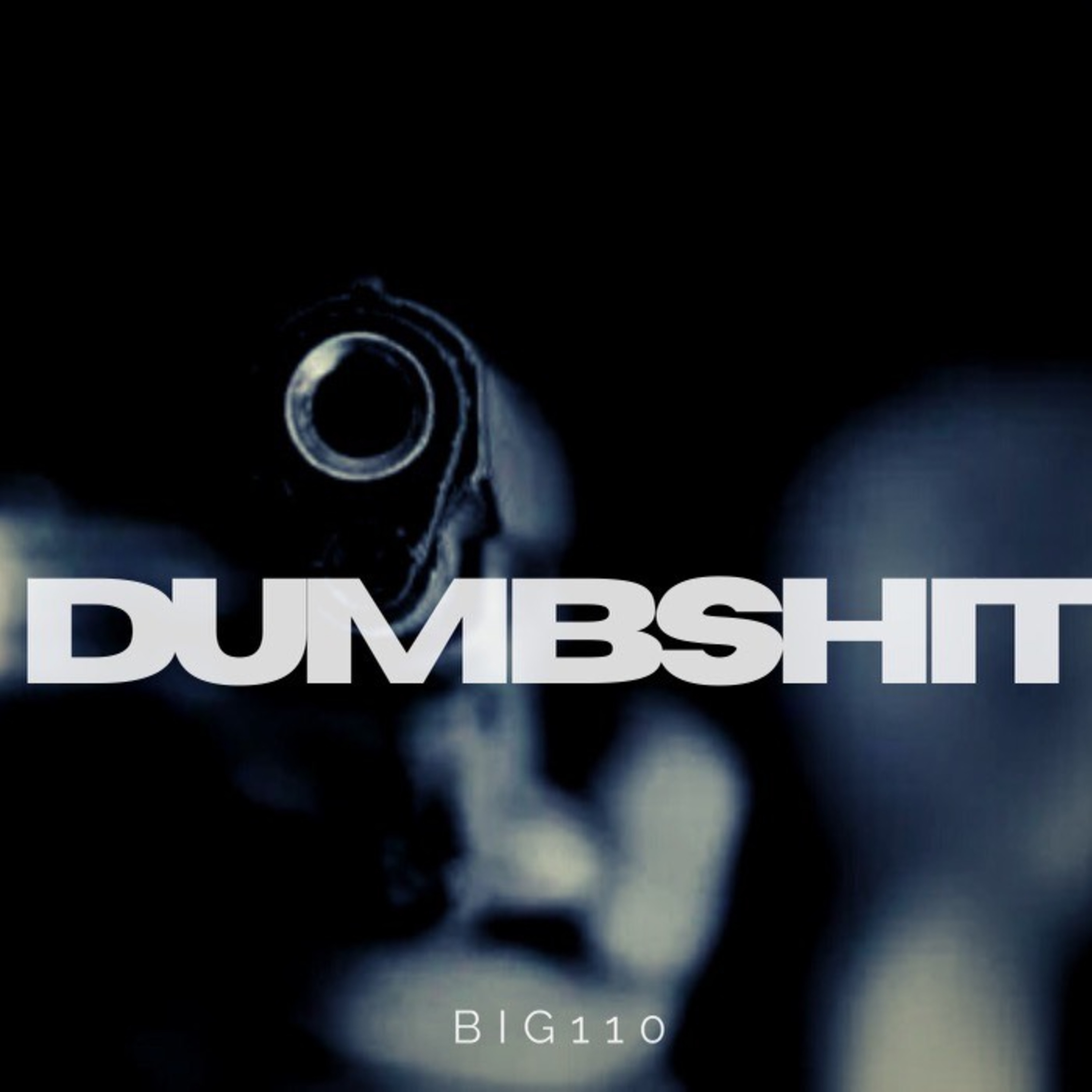 Dumb Sh!t artwork
