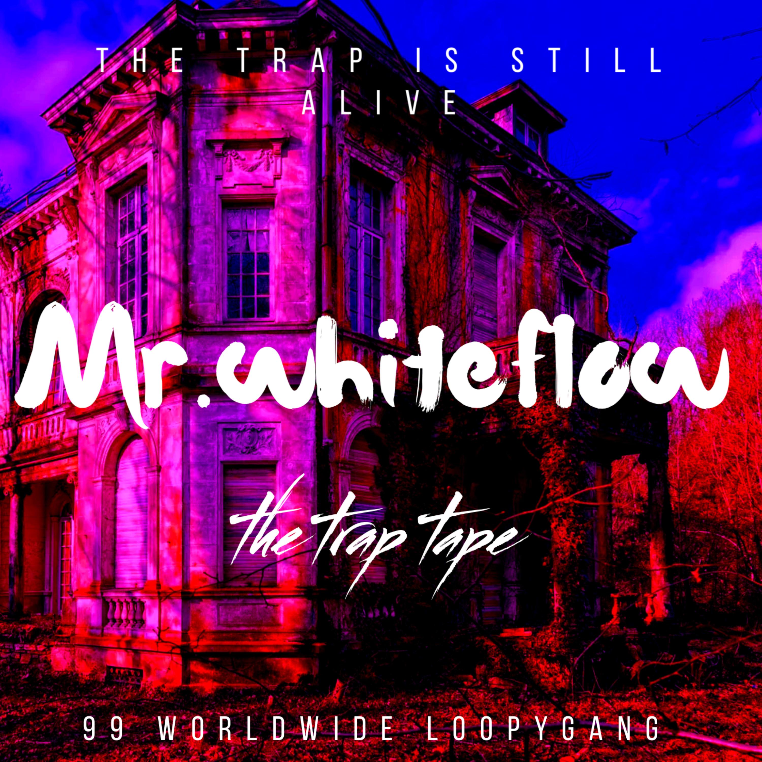MR. WHITEFLOW artwork