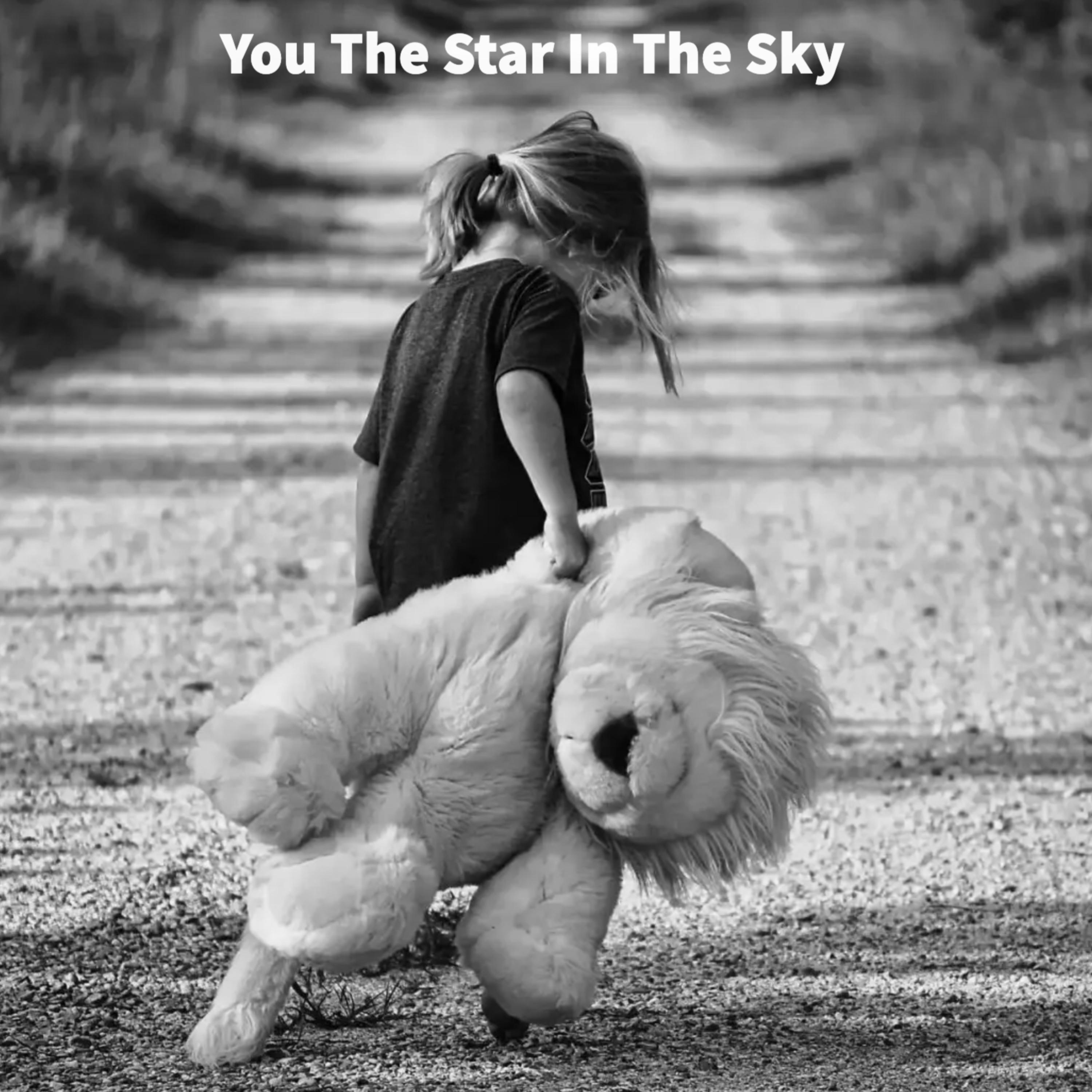 You The Star In The Sky artwork