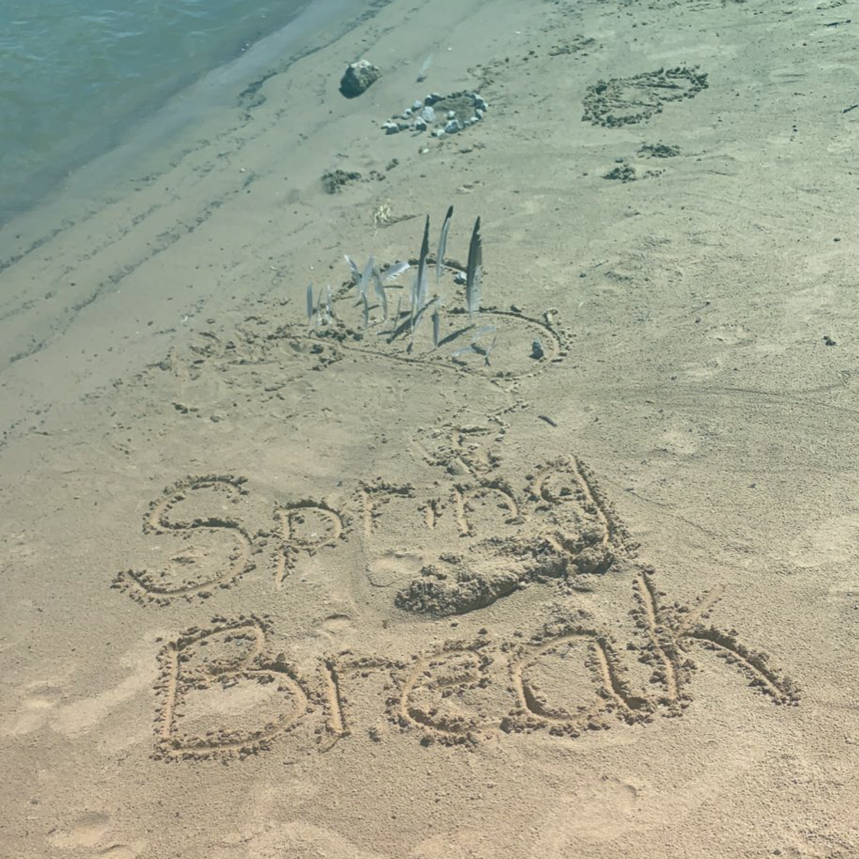 Spring Break artwork