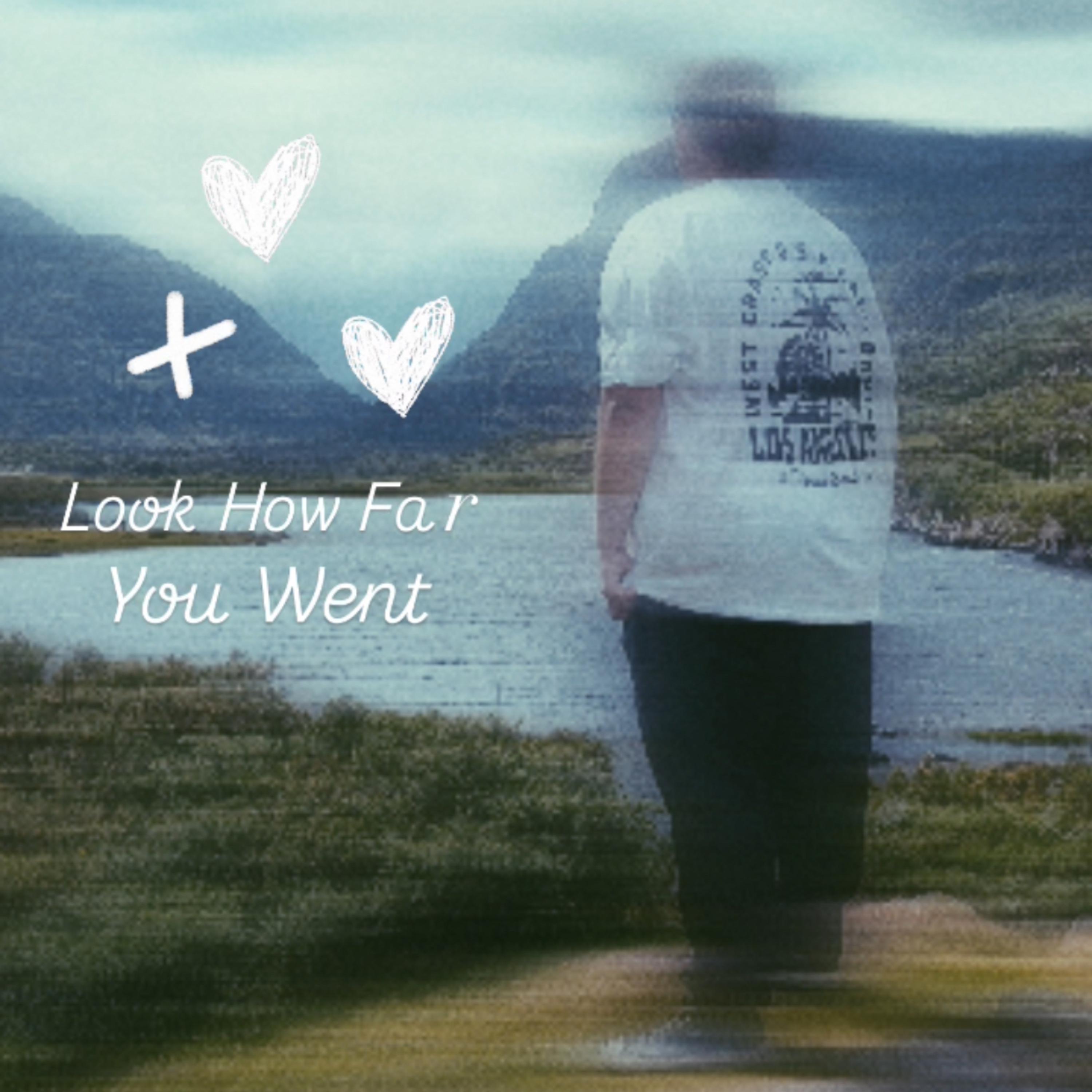 Look How Far You Went artwork
