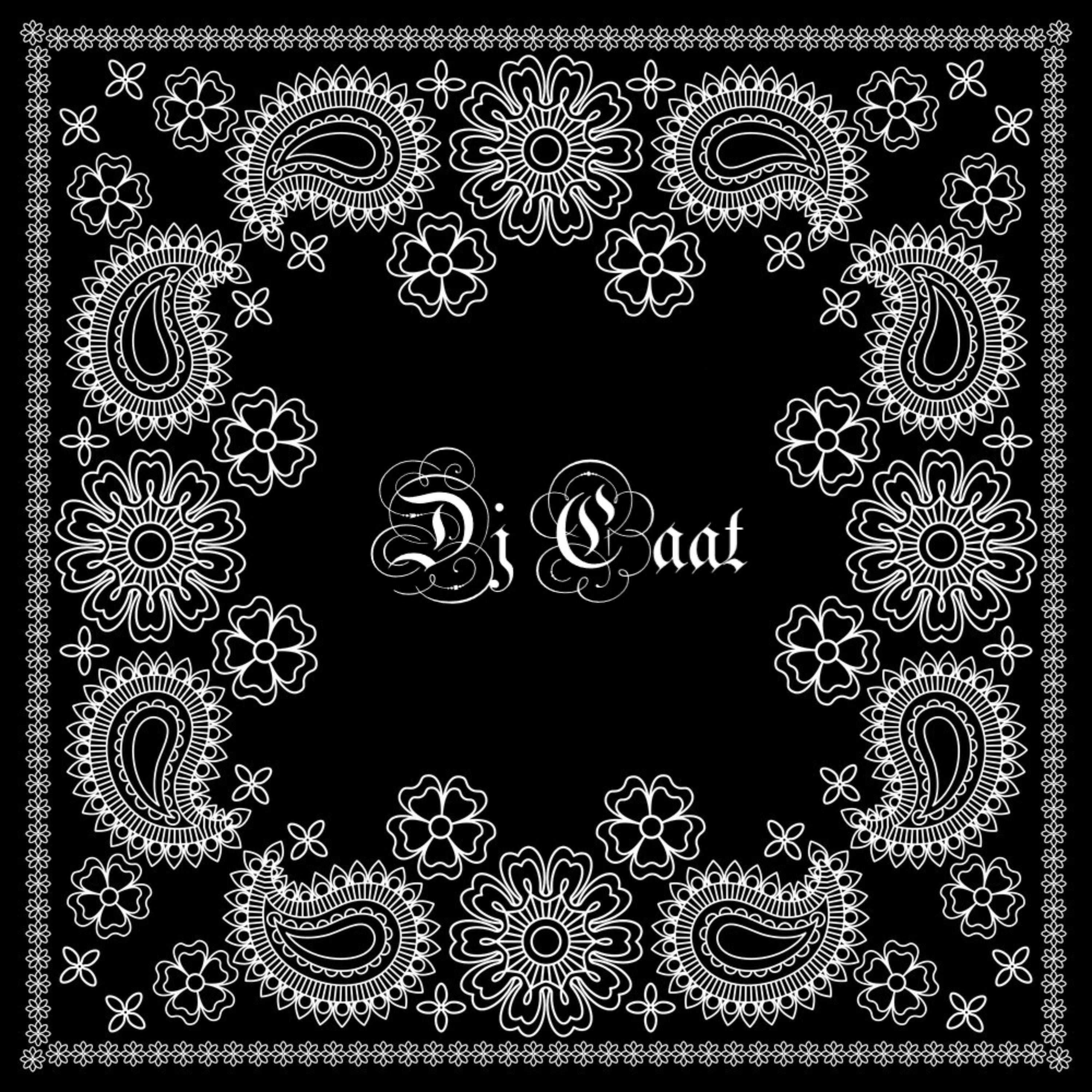 Vol9 by Dj Caat cover art