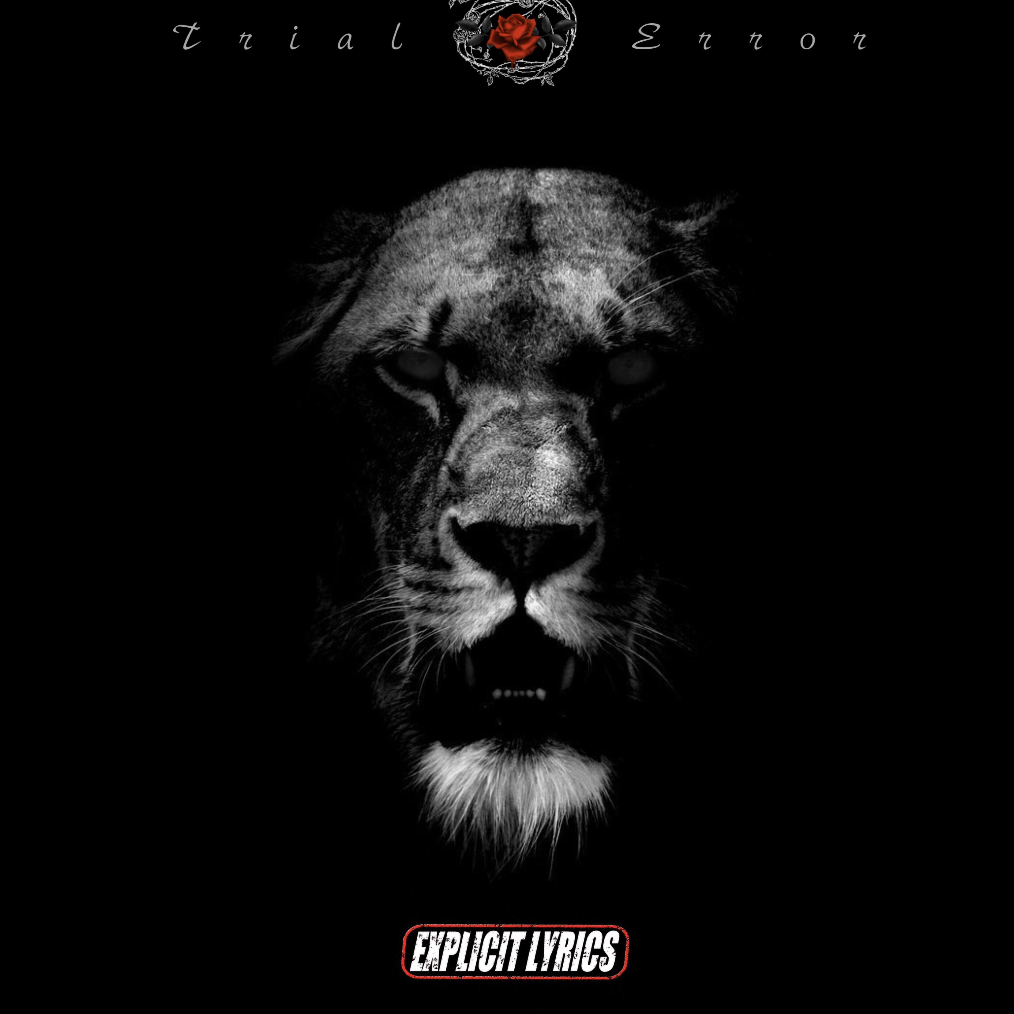 Trial & Error artwork