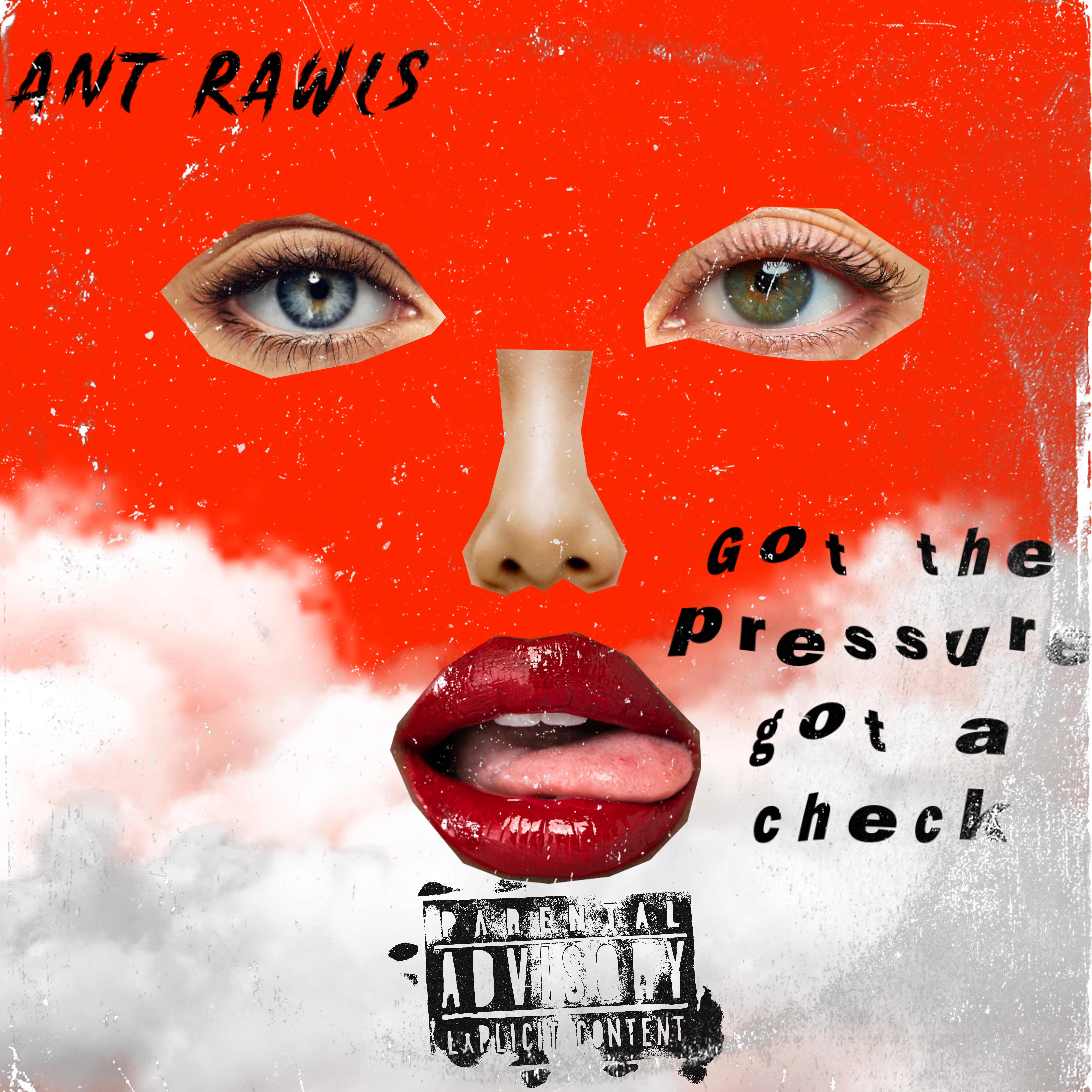 Got The Pressure Got A Check ￼ artwork