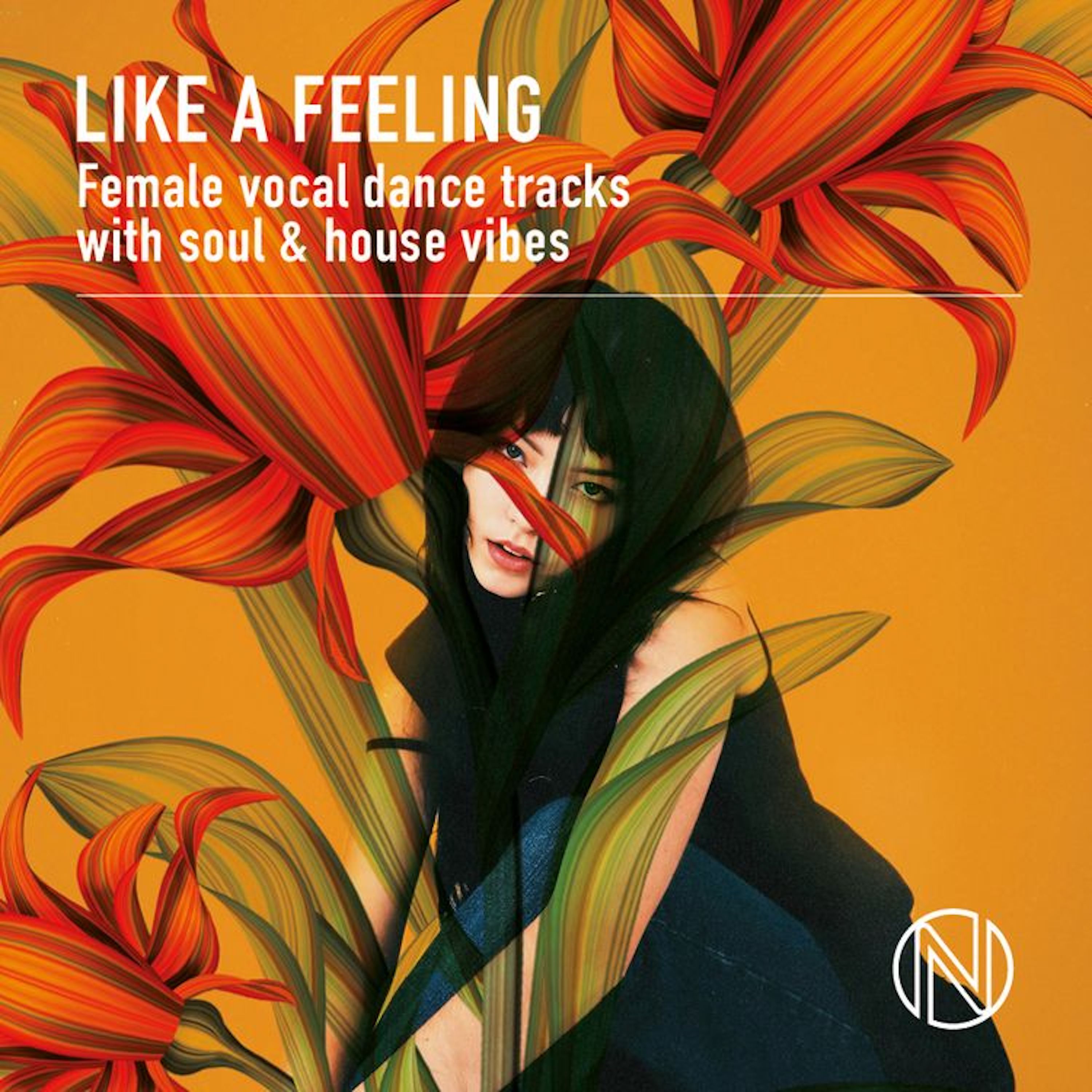 Like A Feeling artwork